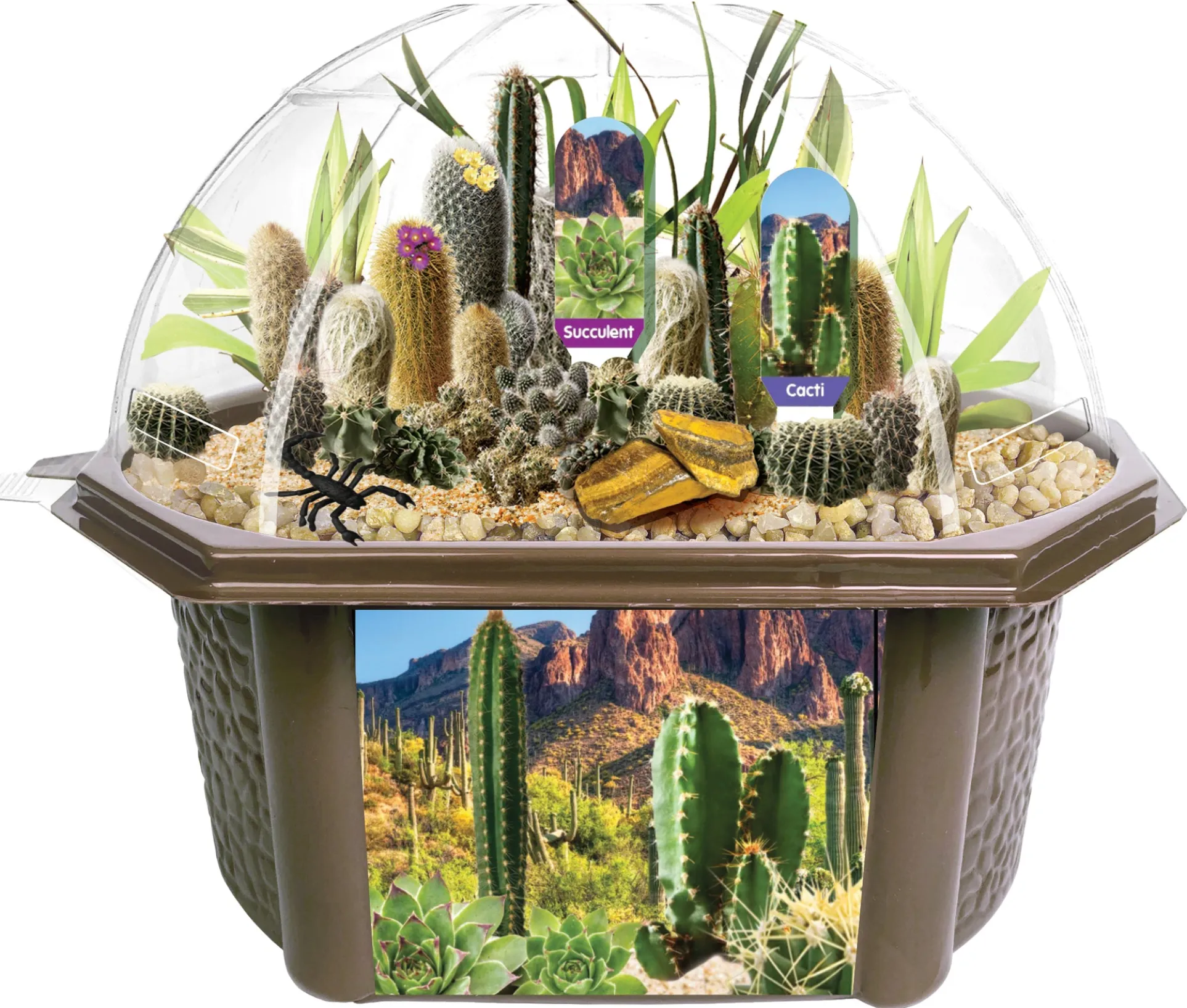 Toys By Nature Desert Biosphere Terrarium Kit - Complete Cacti & Succulent Grow Set