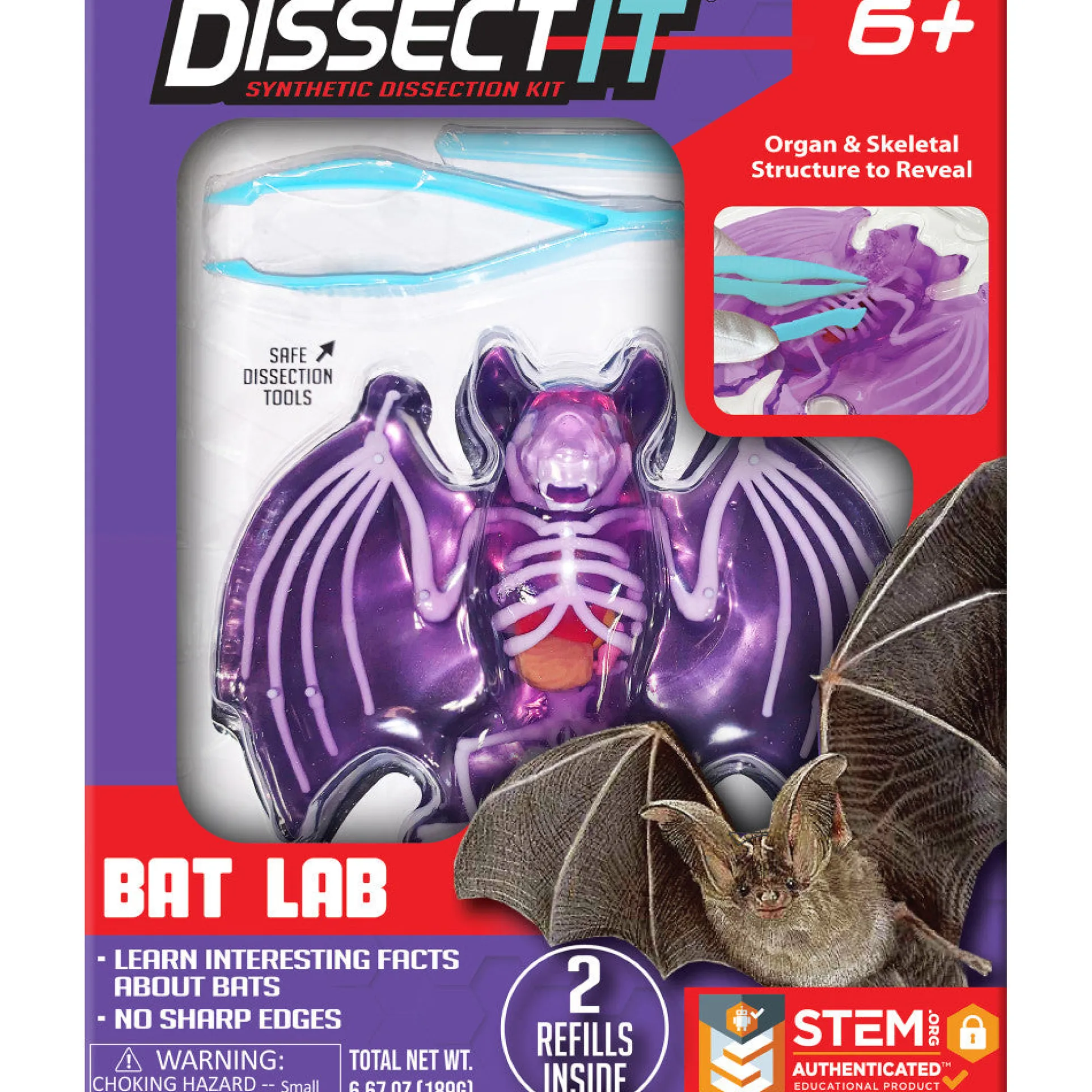 Dissect-It Bat Lab: Synthetic Dissection Kit with STEM Learning Guide for Kids Ages 6+