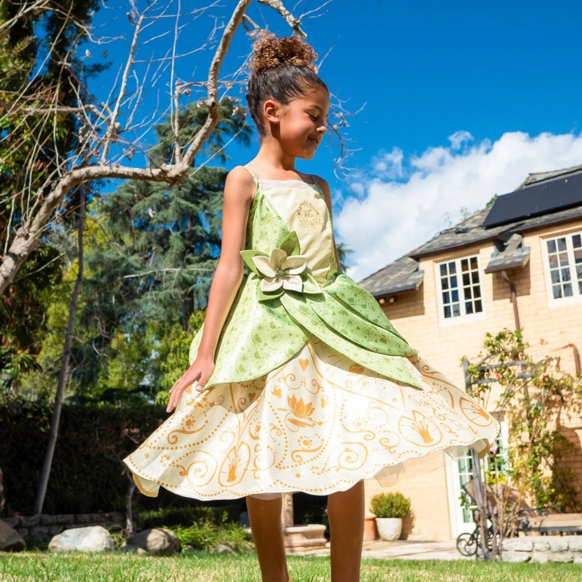 Disney Princess Tiana Premium Washable Dress Up - Size 5/6