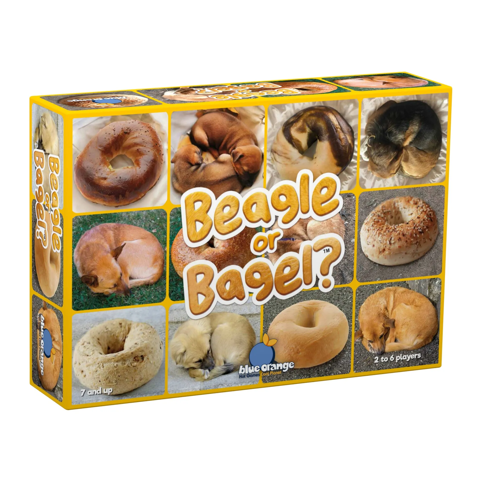 Beagle or Bagel? Family Fun Card Game