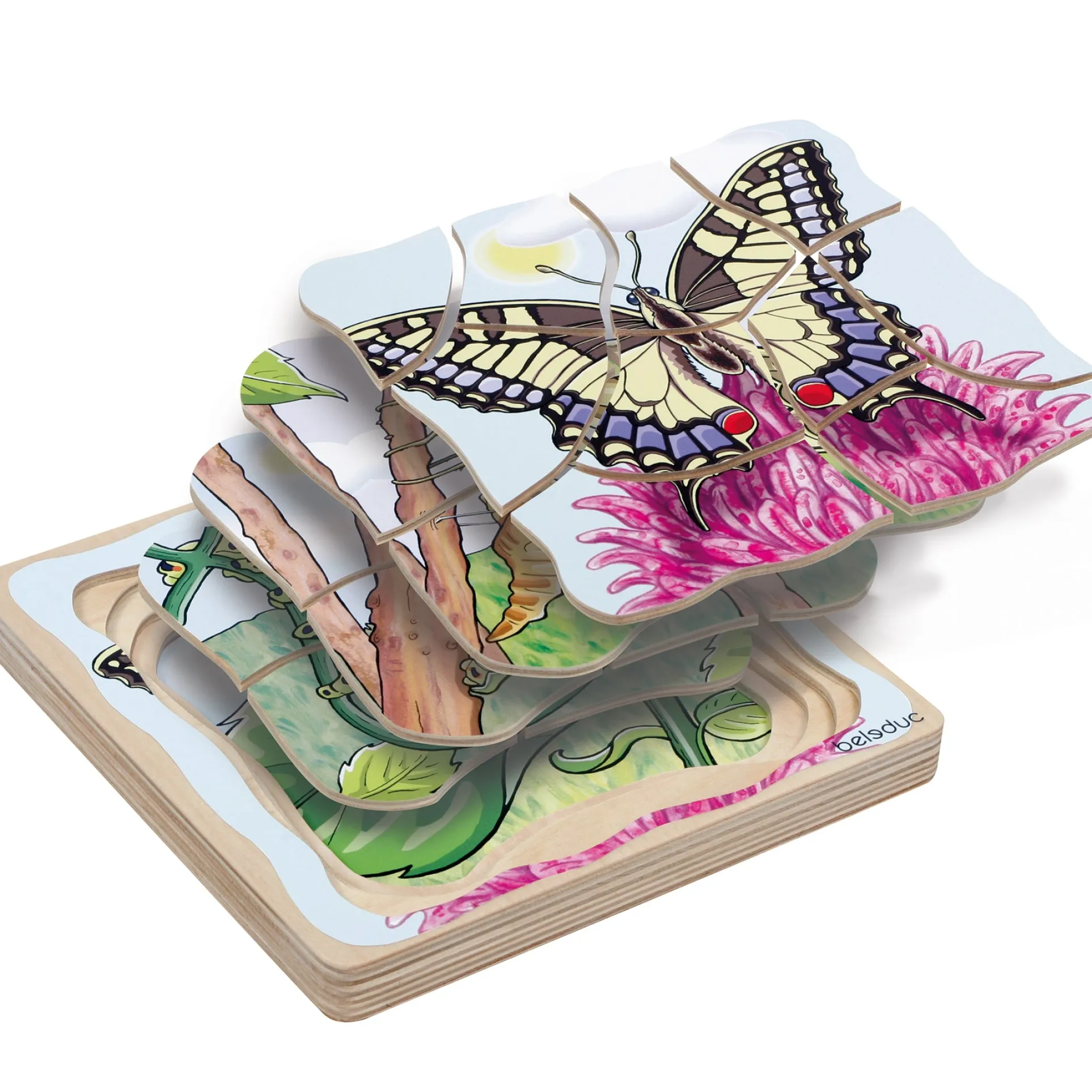 Beleduc Layer Puzzle - Transformative Butterfly Lifecycle