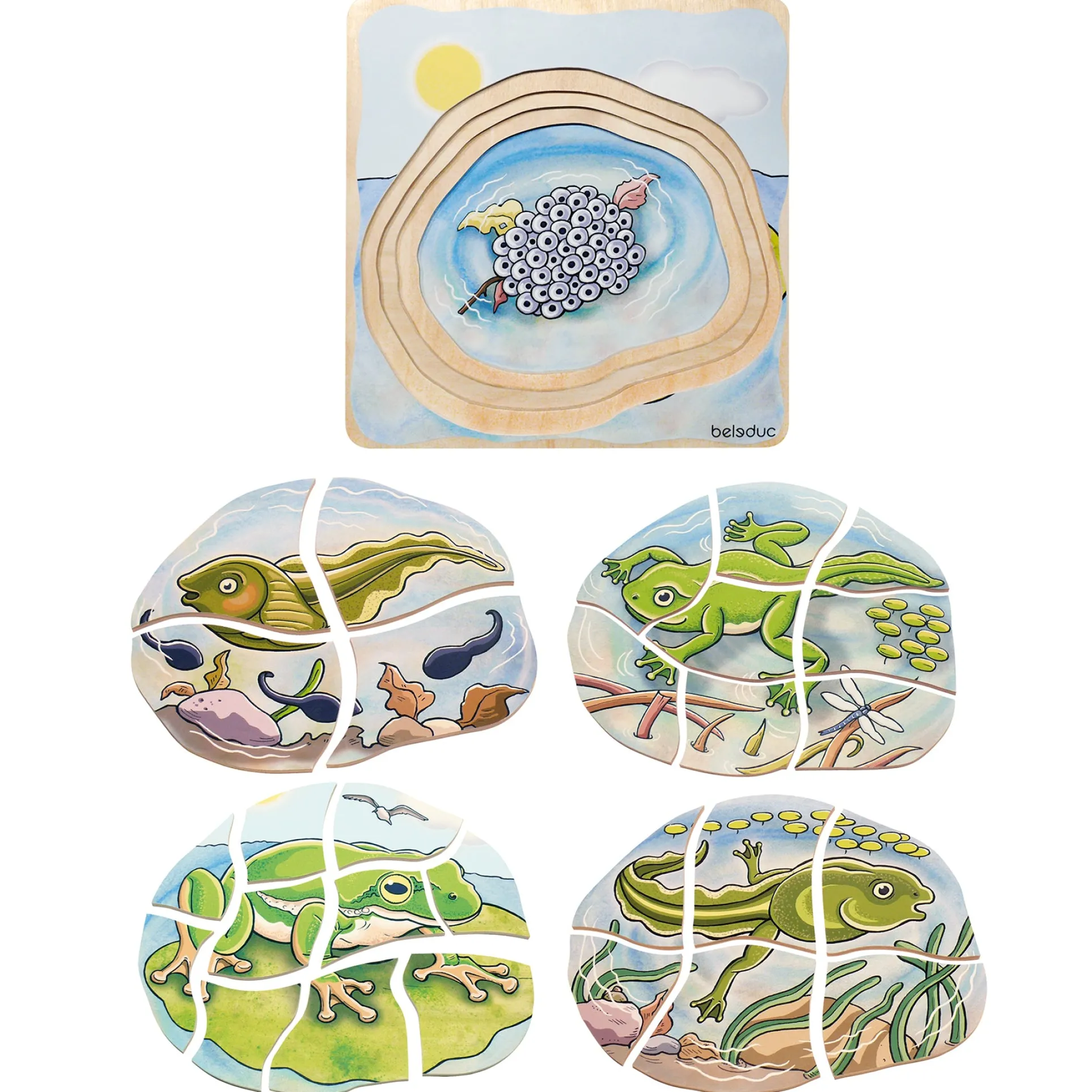 Beleduc Layer Puzzle - Frog Lifecycle - 5 Wooden Layers - 28 Pieces