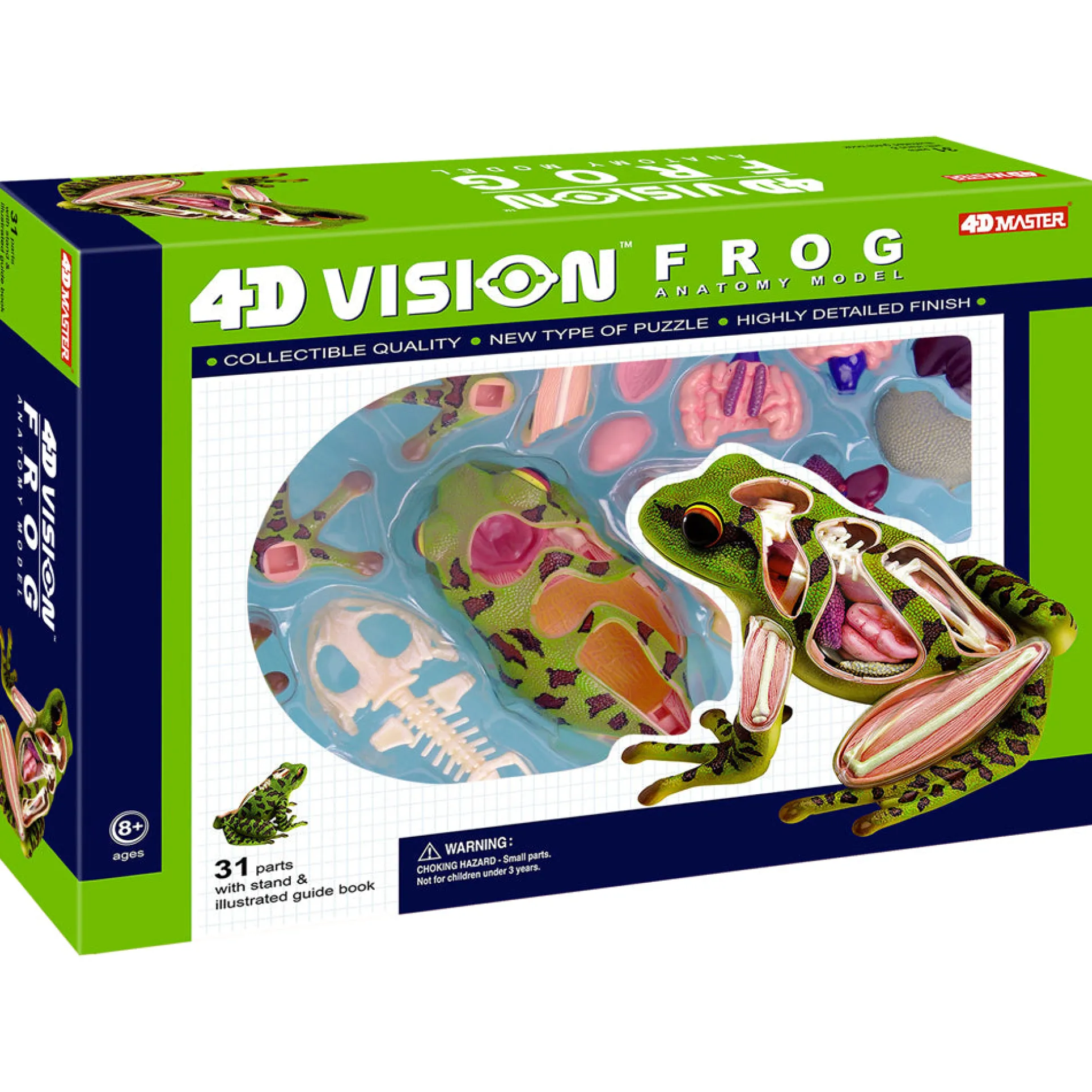 4D Master Frog Anatomy Model Educational Science Kit