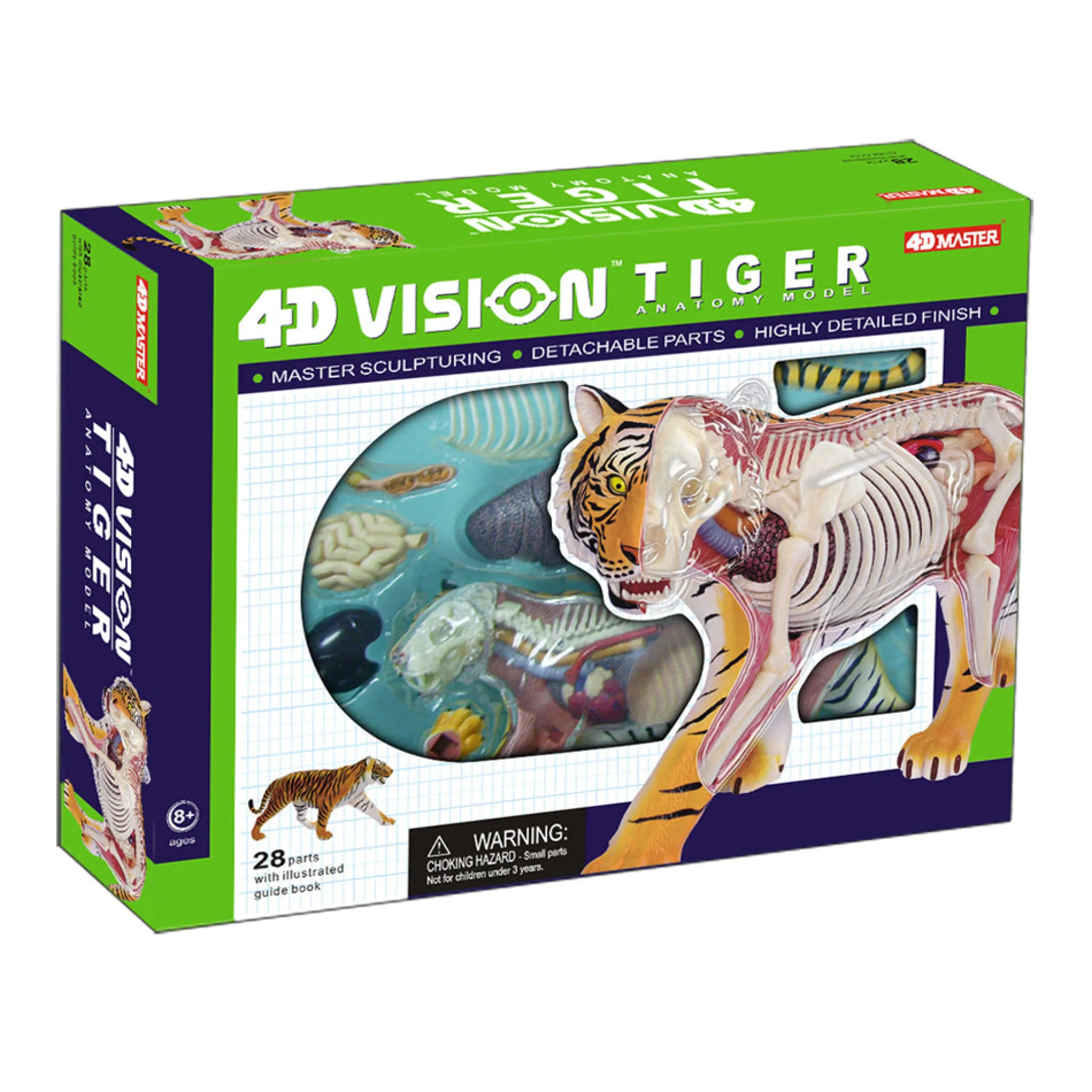 4D Master Tiger Anatomy Model Educational Kit