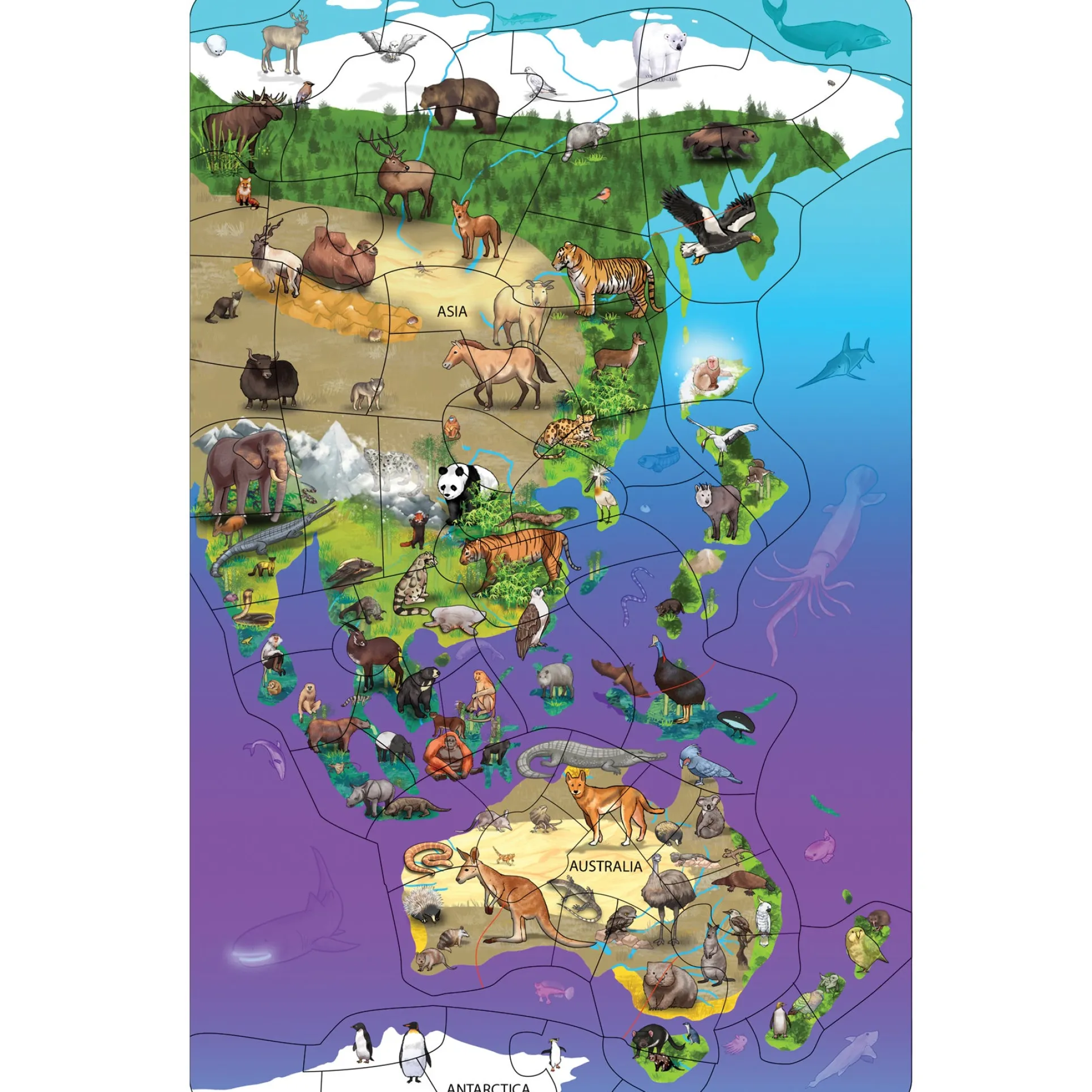 Dowling Magnets Animal Magnetism Magnetic Wildlife Map Puzzle - Asia & Australia
