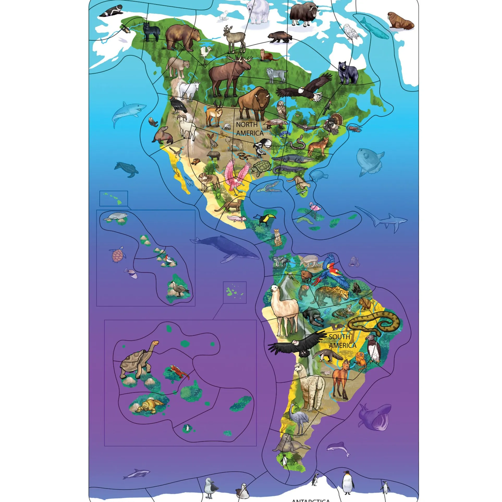 Dowling Magnets Animal Magnetism Wildlife Map Puzzle - Magnetic North & South America