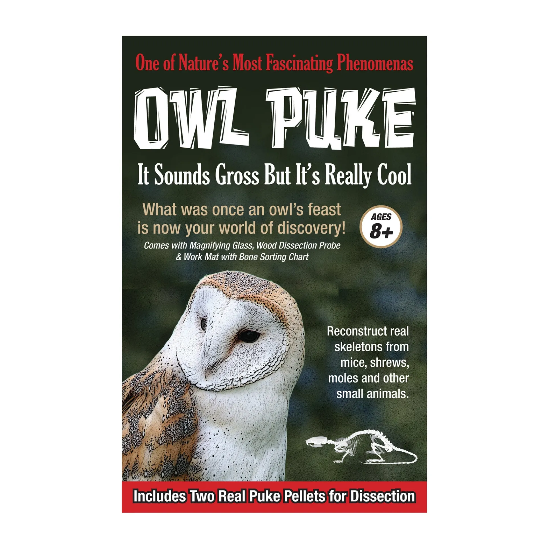 Exploratory Owl Puke Dissection Science Kit