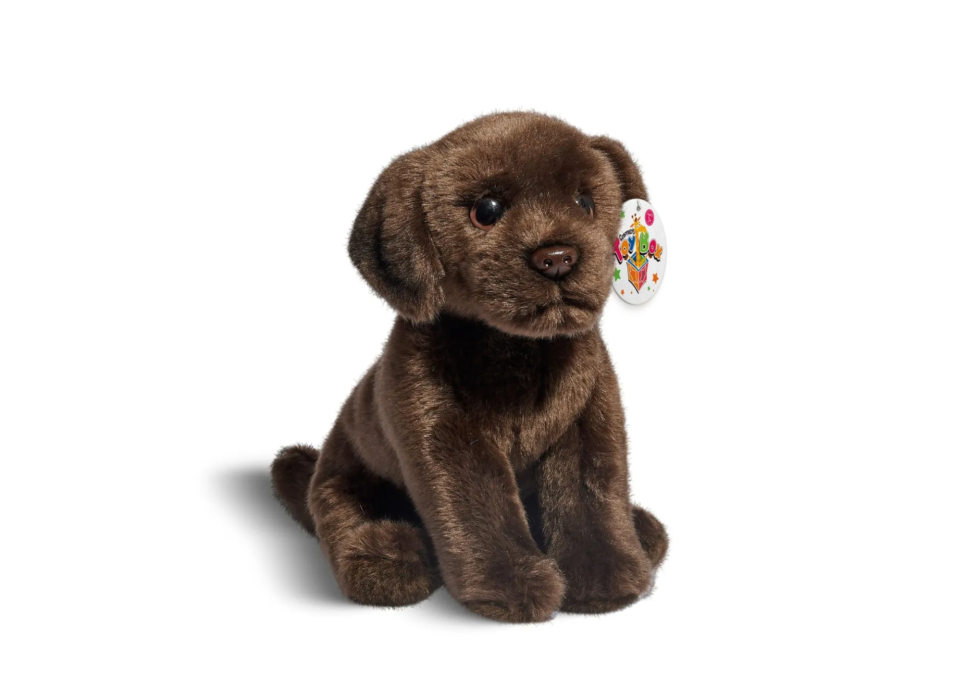 Geoffrey's Toy Box 10-inch Plush Labrador Puppy - Exclusive to Macy's