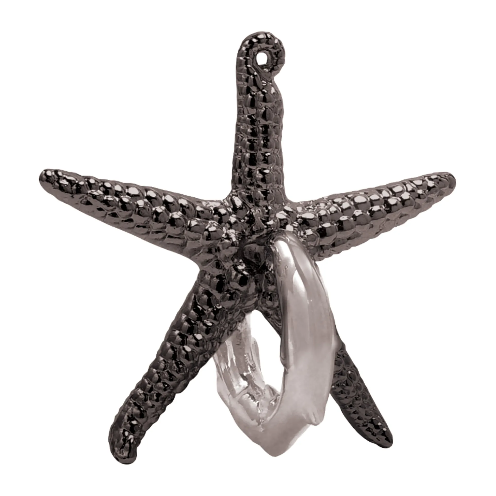 Hanayama Cast Metal Level 2 Puzzle - Starfish Voyage