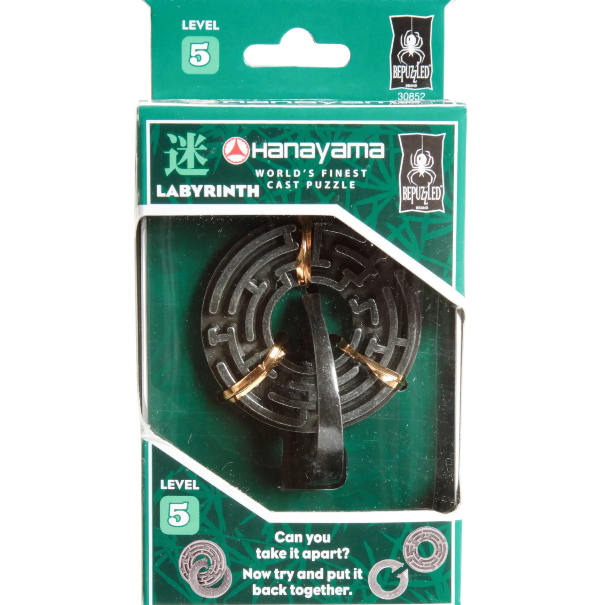 Hanayama Level 5 Cast Metal Puzzle - Labyrinth Challenge