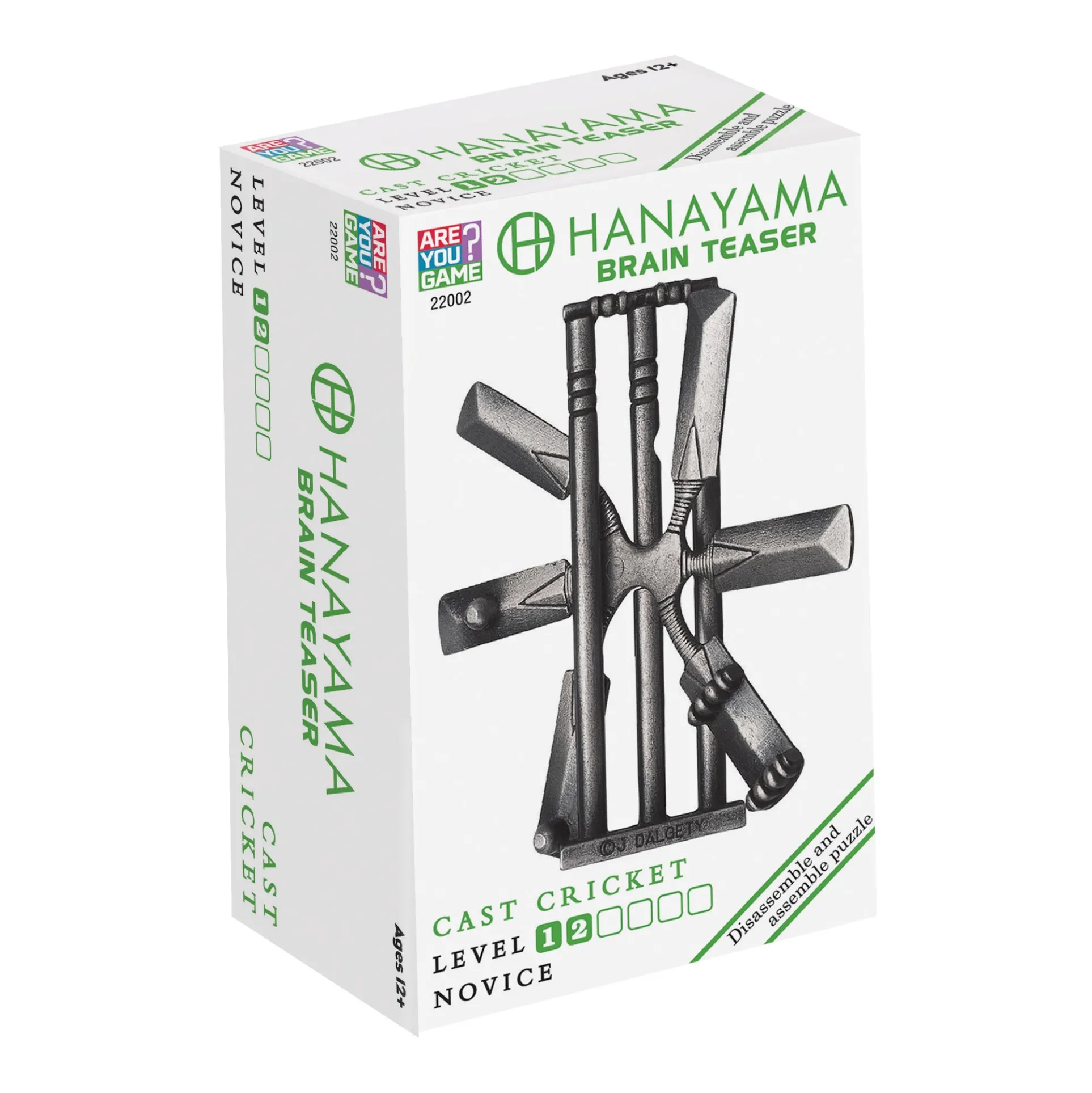Hanayama Level 2 Cast Puzzle - Cricket Challenge
