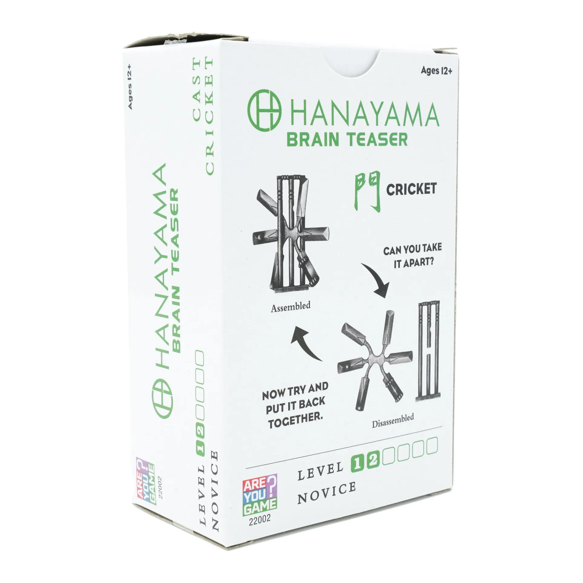 Hanayama Level 2 Cast Puzzle - Cricket Challenge