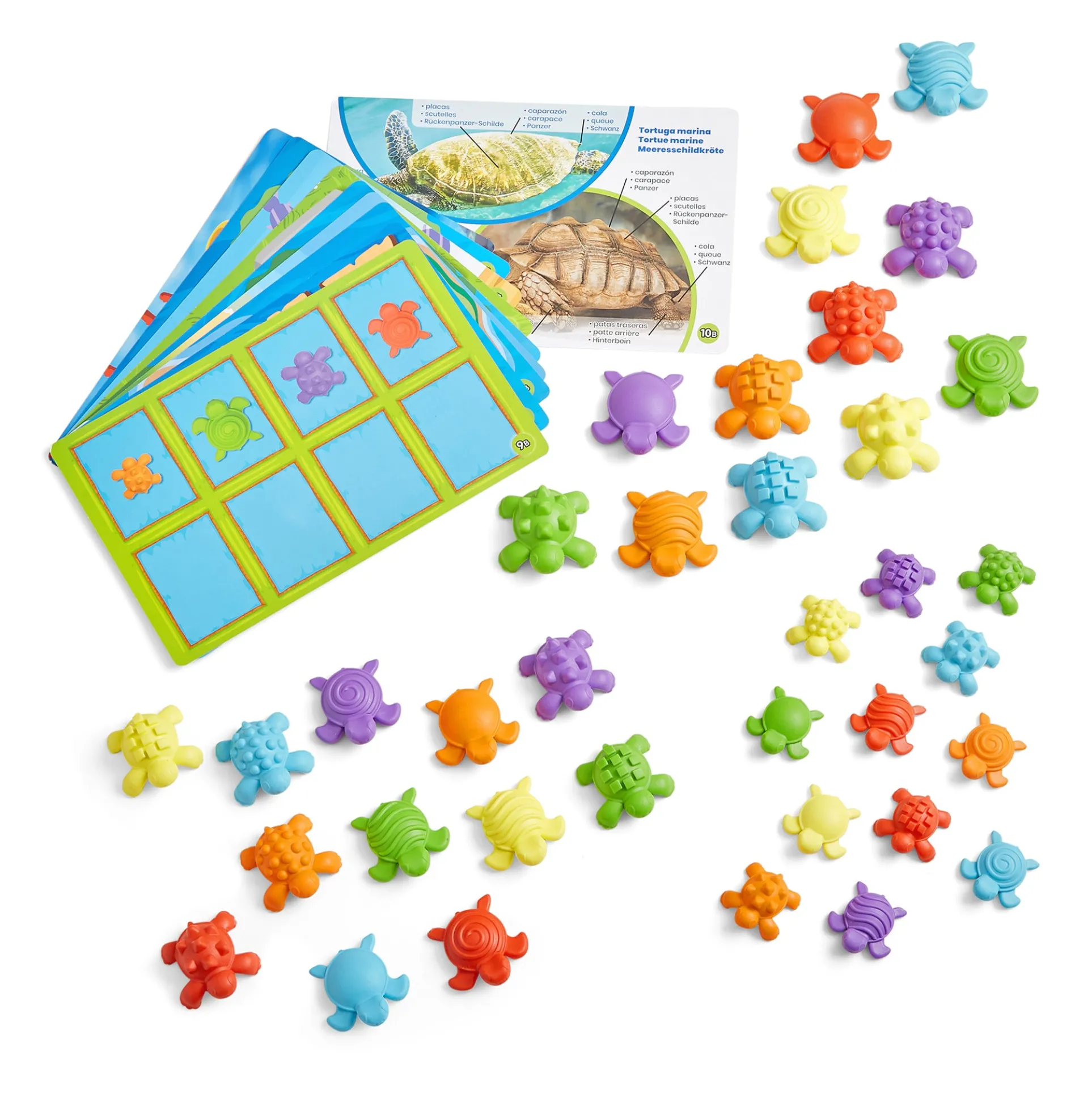 Hand2Mind Tactile Turtles - Educational Math Learning Toy Set