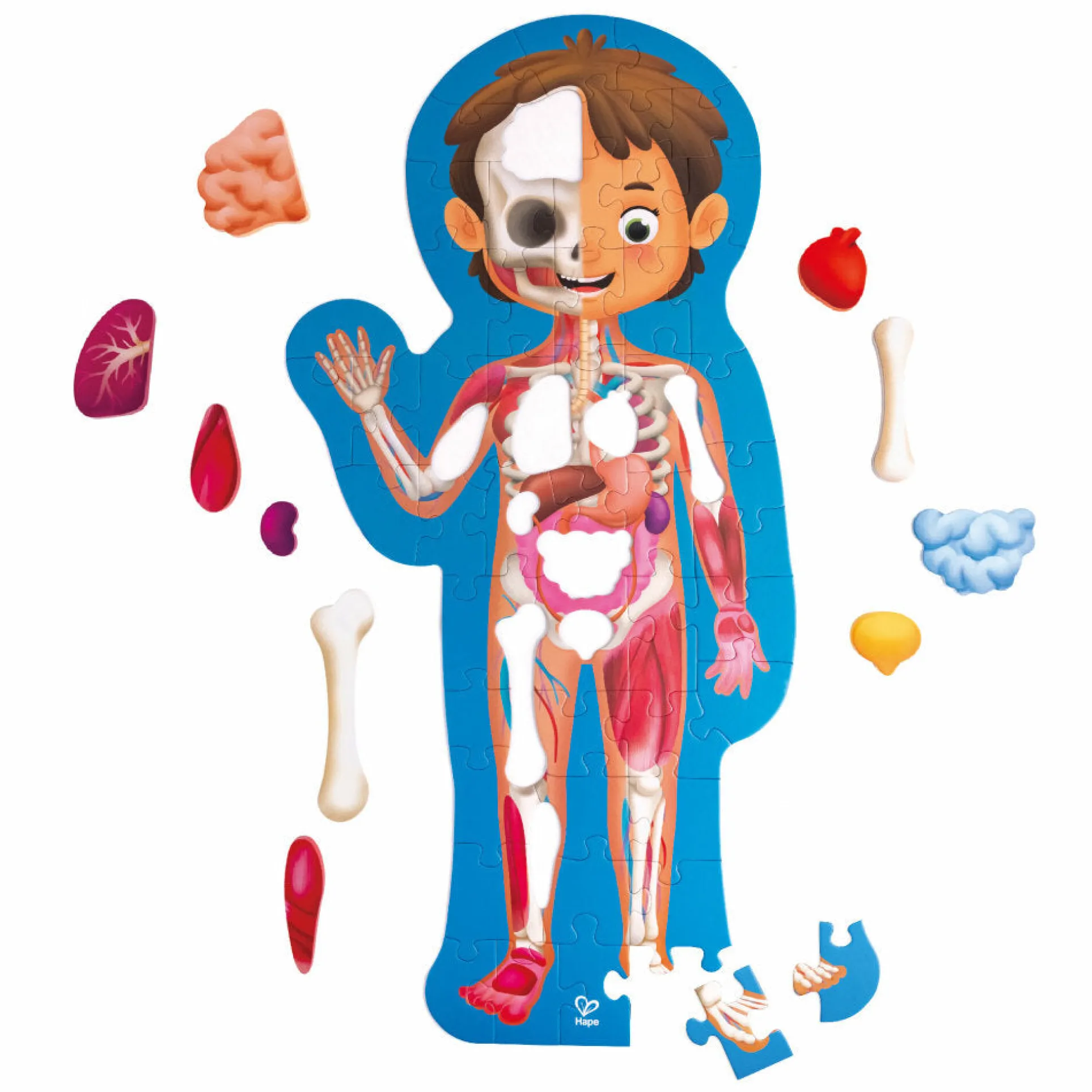 Hape Human Body Puzzle - Educational Anatomy Jigsaw with 60 Oversized Pieces