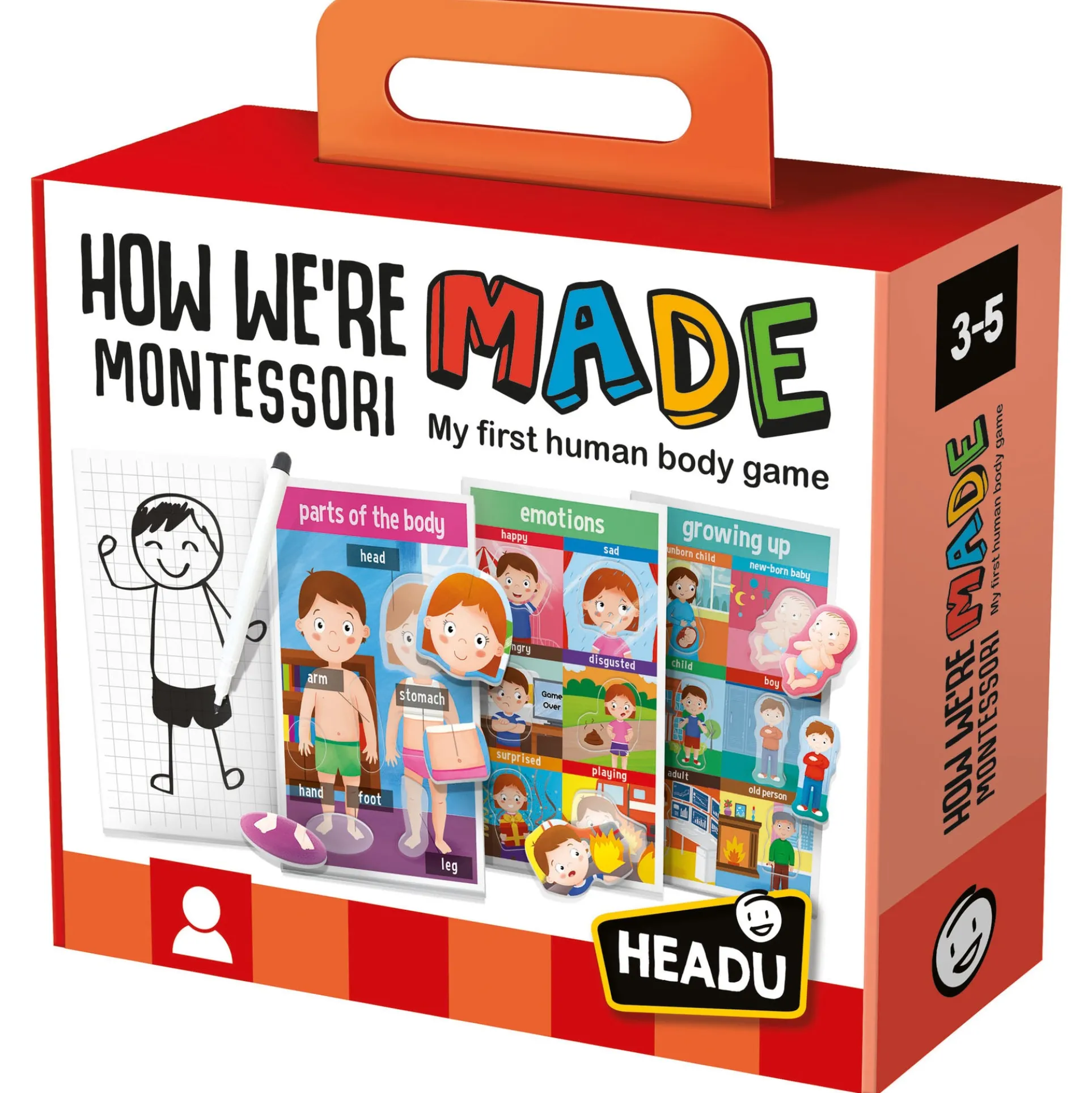 Headu My First Human Body Game - Discover Anatomy Fun