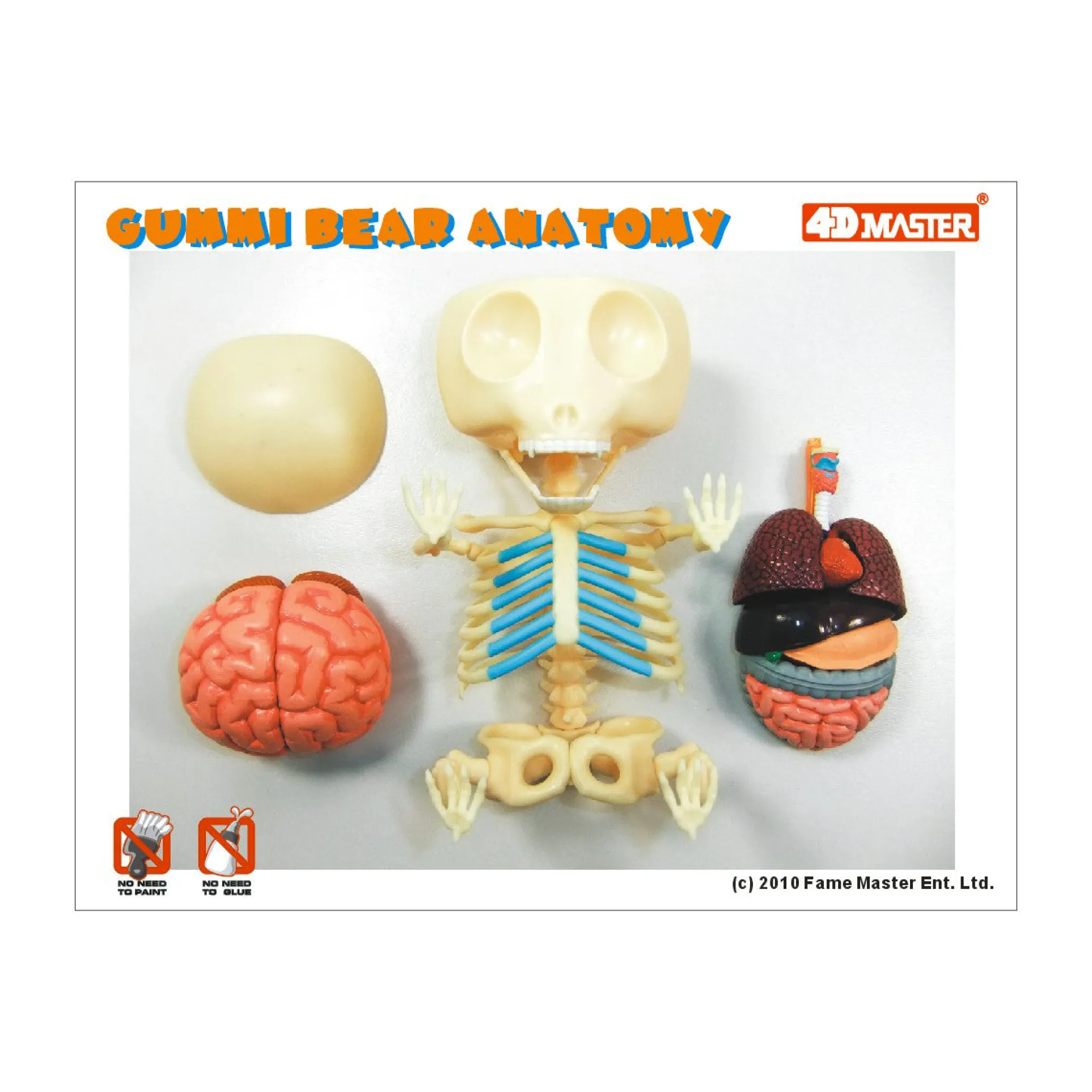 Jason Freeny Funny Anatomy Gummi Bear Model - Transparent Educational Toy