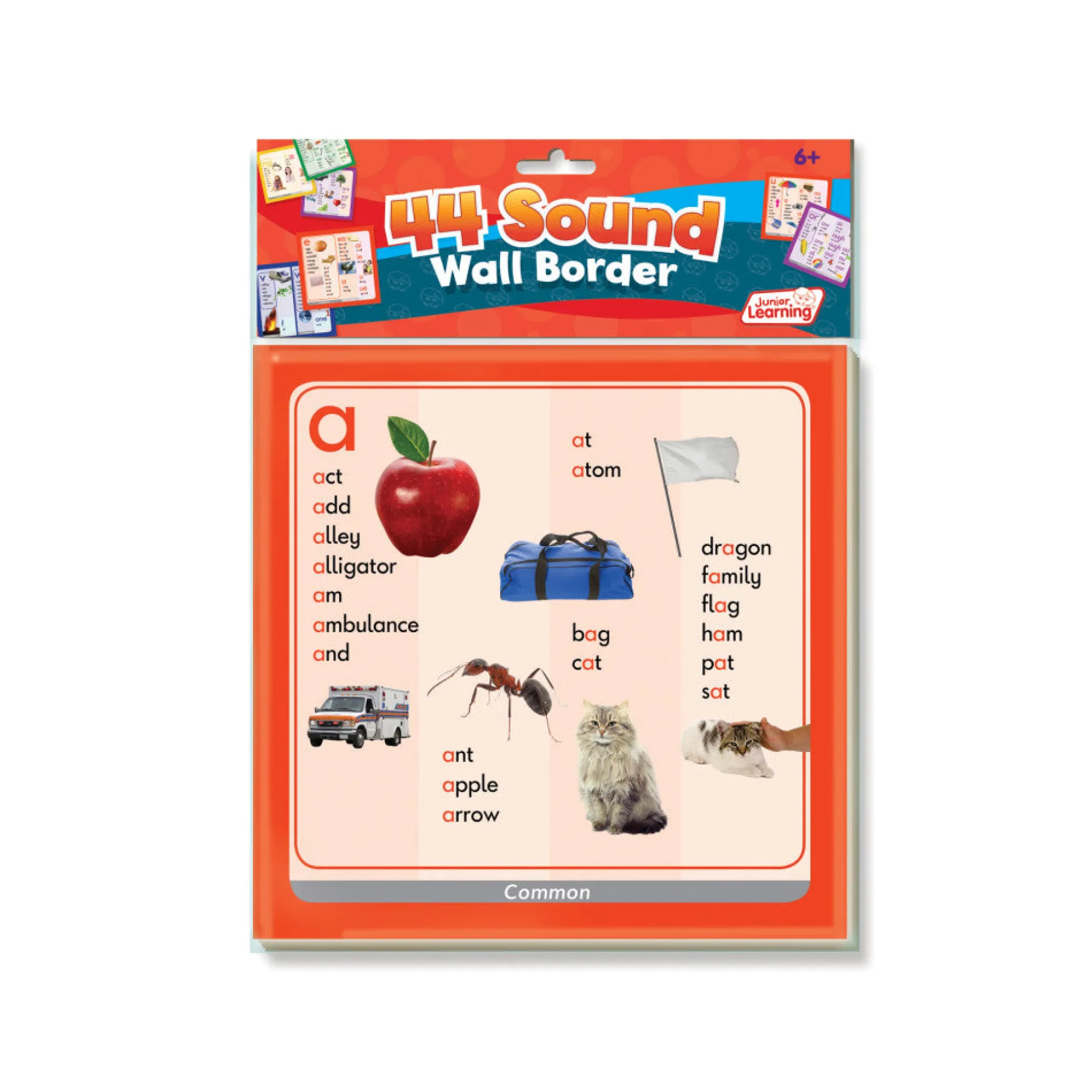 Junior Learning 44 Sound Wall Border - Educational Spelling Tool