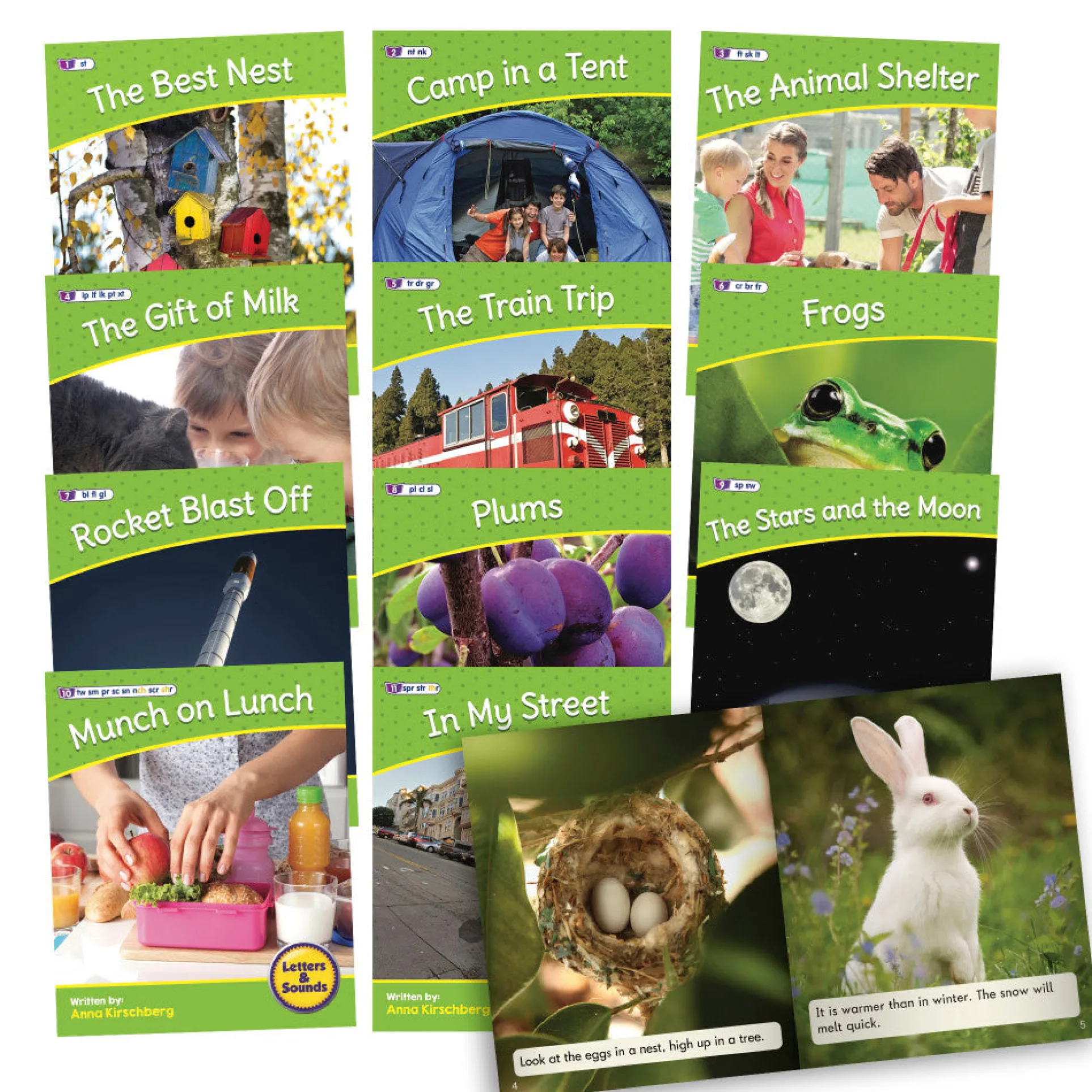 Junior Learning Letters & Sounds Phase 4 Set 2 - Life Science Educational Set