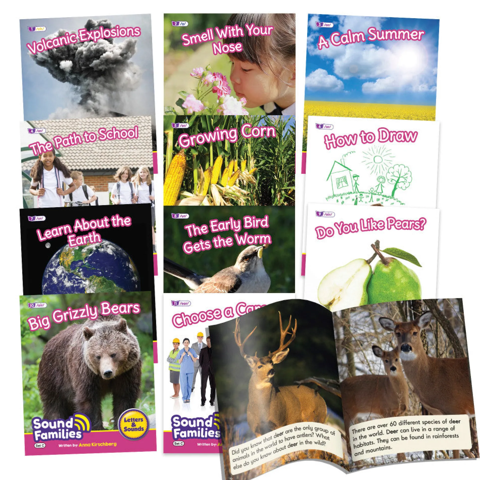 Junior Learning 12-Piece R-Controlled Vowels Decodable Readers Set