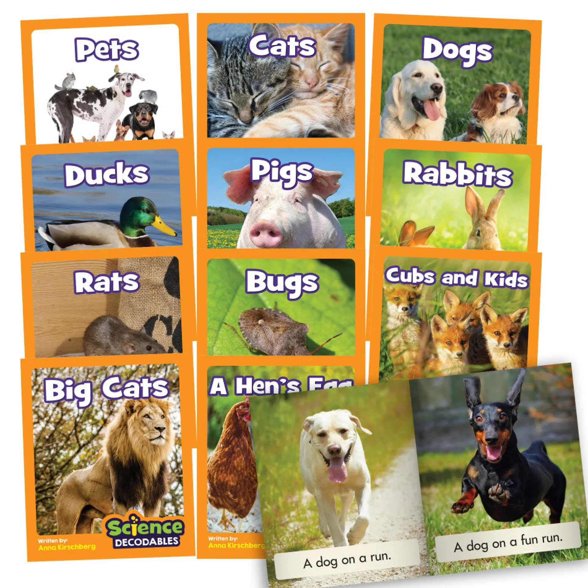 Junior Learning Science Decodables Set - Animal Science - Phase 2 Non-Fiction