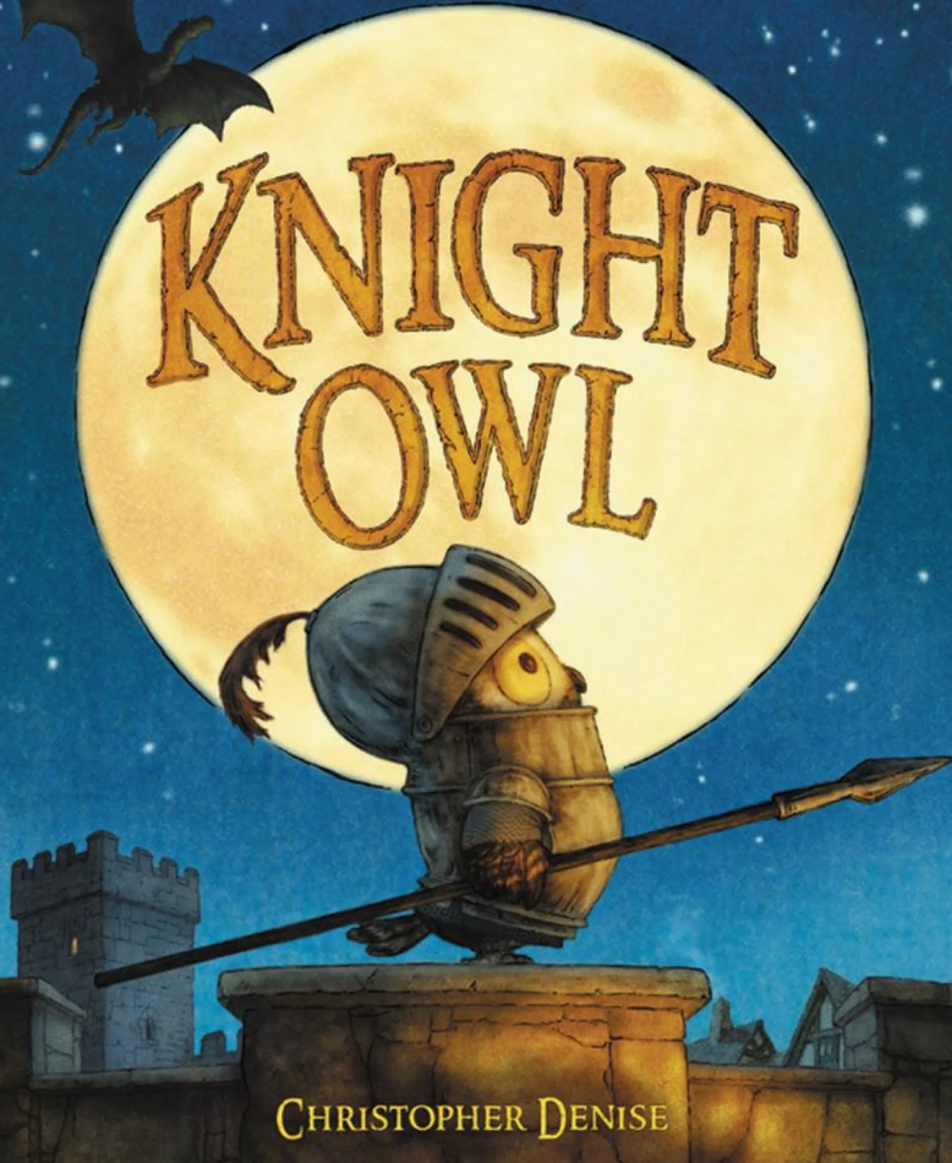 Knight Owl: Adventures of a Tiny Hero Hardcover Picture Book