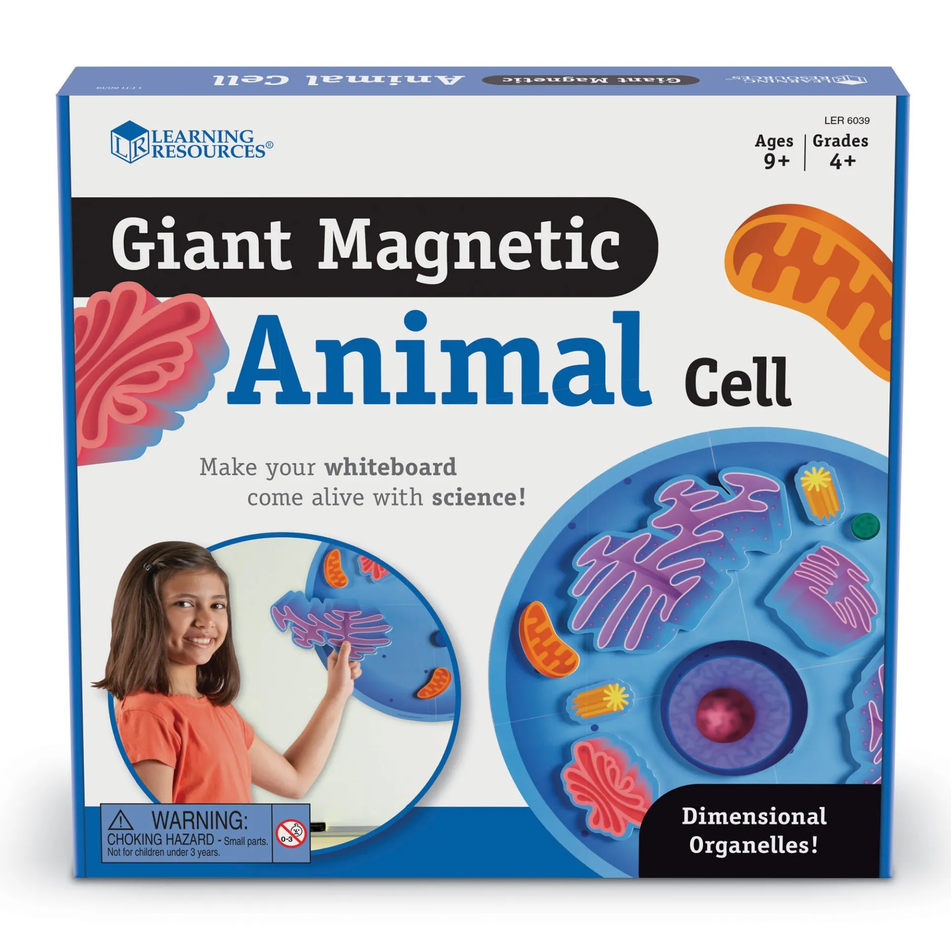 Learning Resources Giant Magnetic Animal Cell Model - Educational Toy