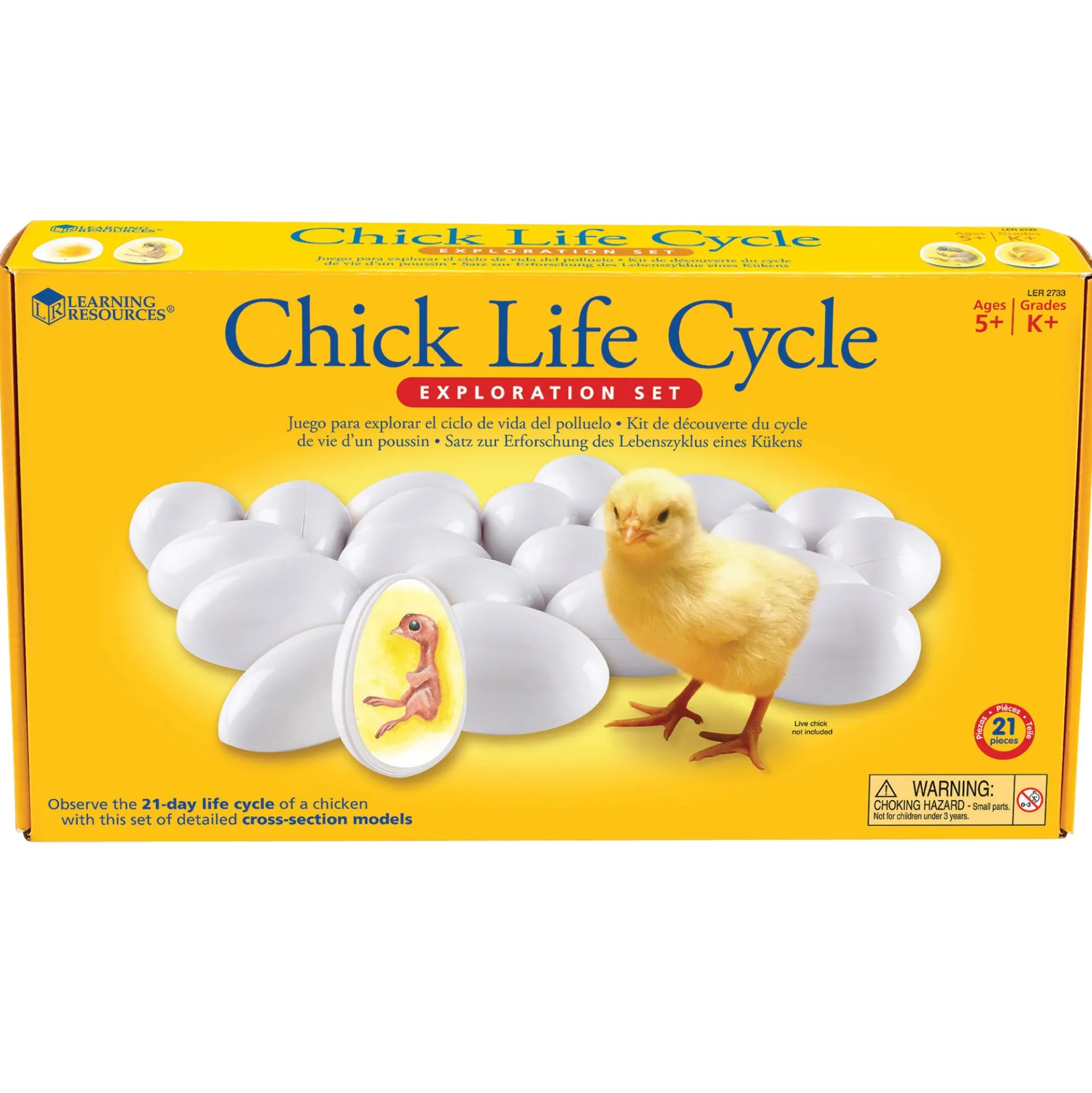 Learning Resources Chick Life Cycle Exploration Set - Educational Science Toy