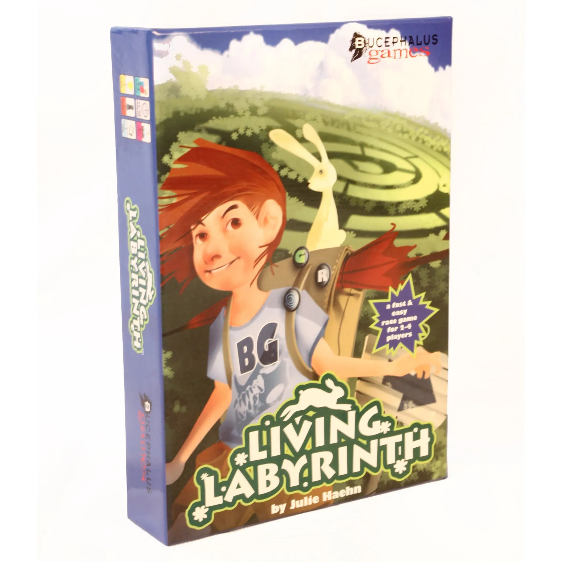 Living Labyrinth Garden Maze Race Game