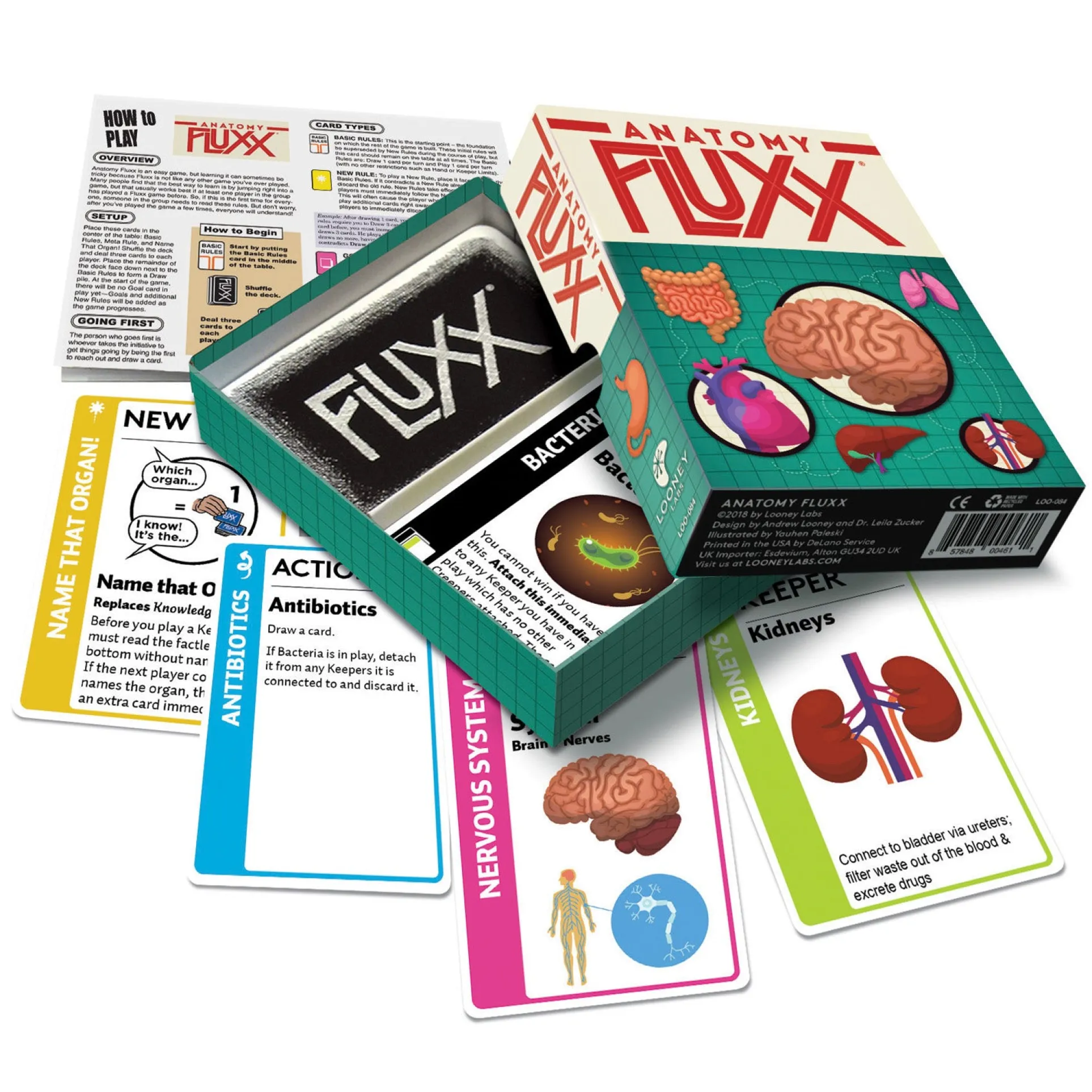 Looney Labs Anatomy Fluxx Educational Card Game