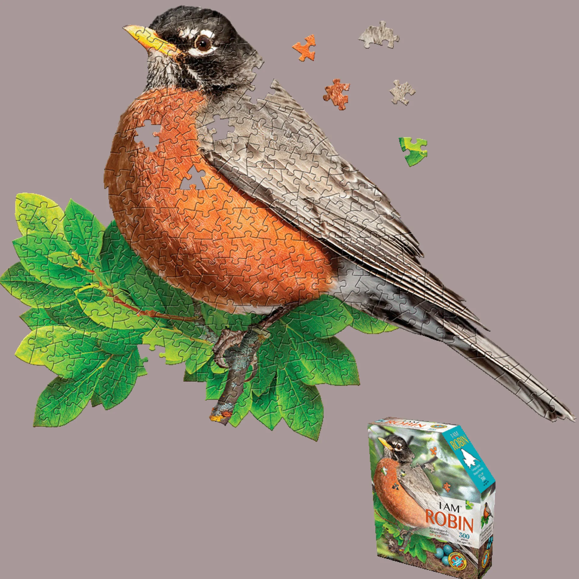 Madd Capp I AM ROBIN Unique-Shaped 300-Piece Jigsaw Puzzle