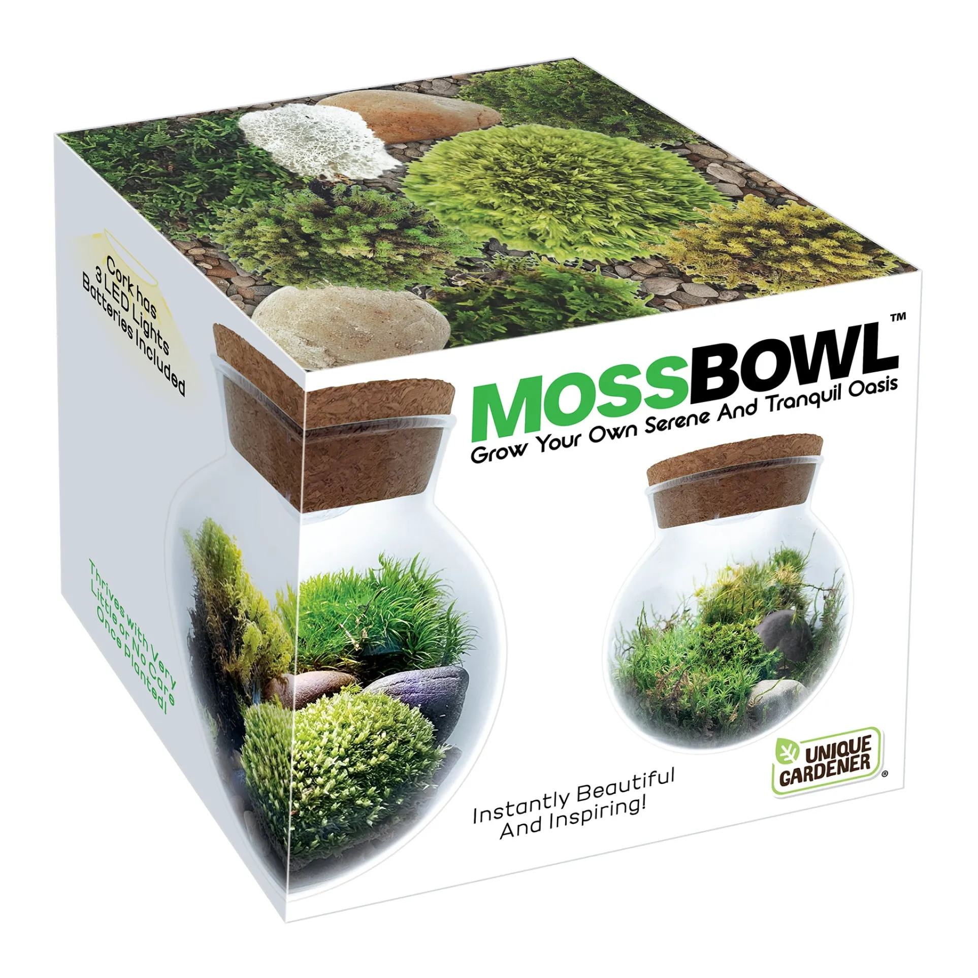 MossBowl - Cultivate Your Personal Green Zen Space