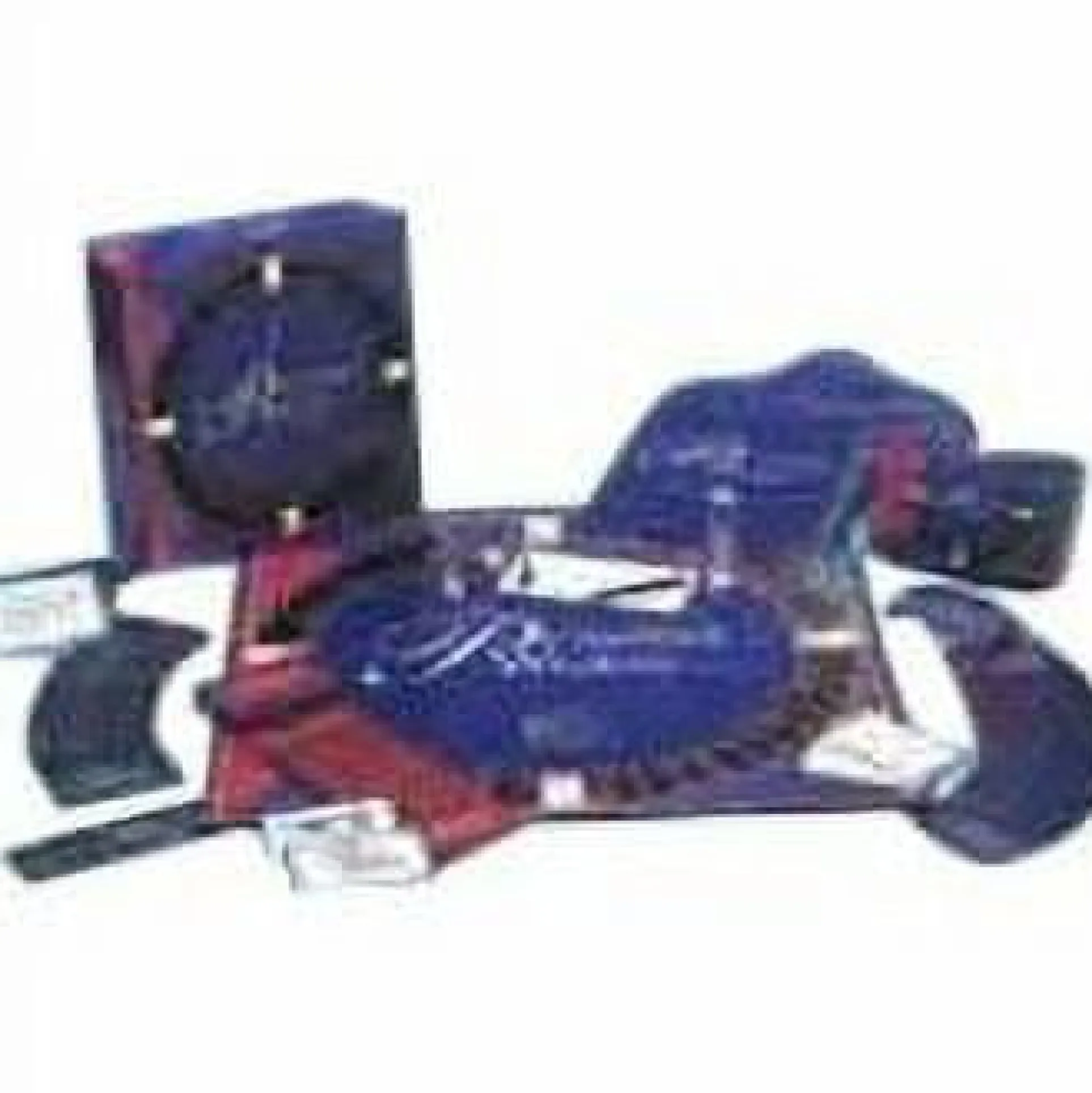 Proverbial Wisdom: Bible Edition Interactive Board Game