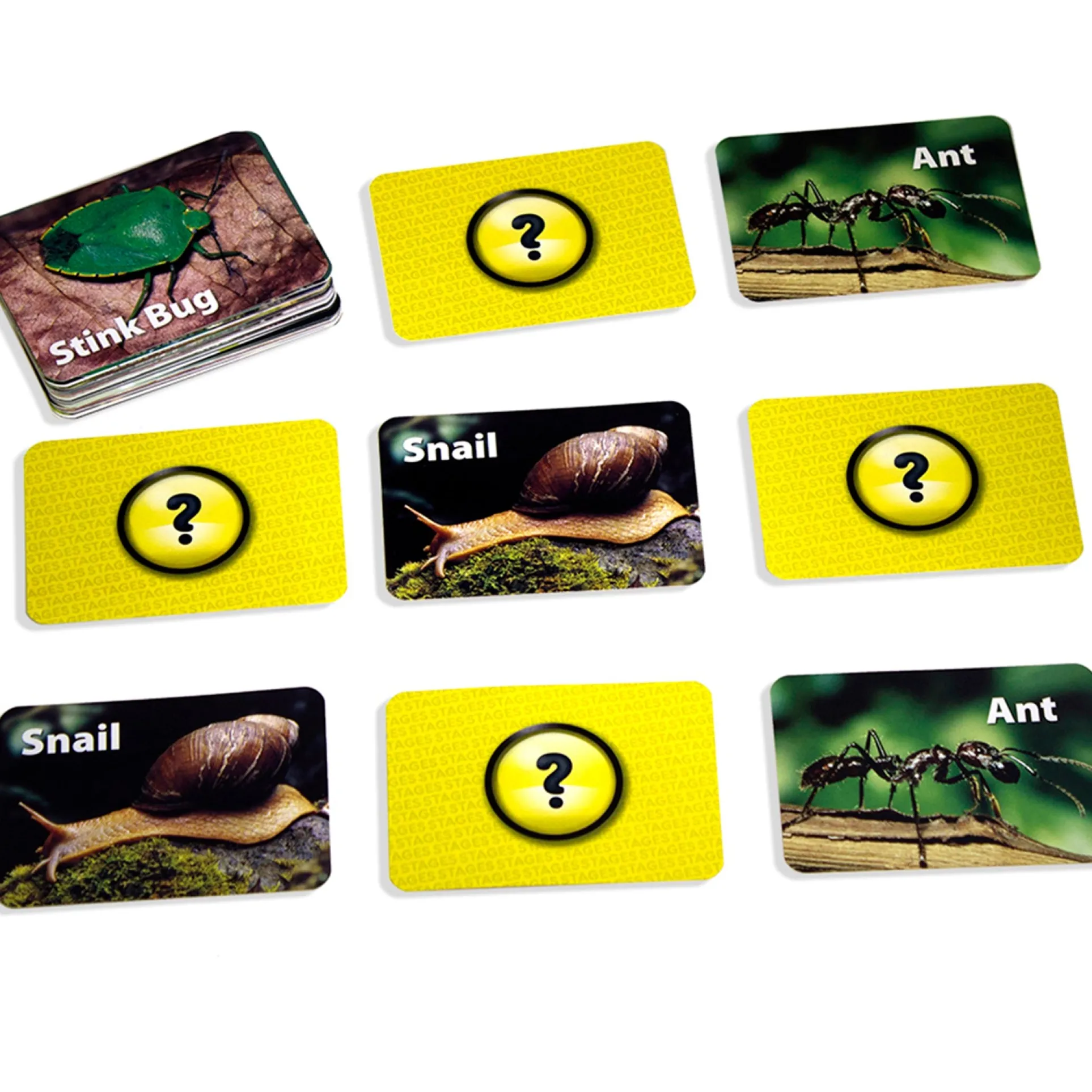 Stages Learning Materials - Memory Matching Game - Insects & Bugs - 3 Pack