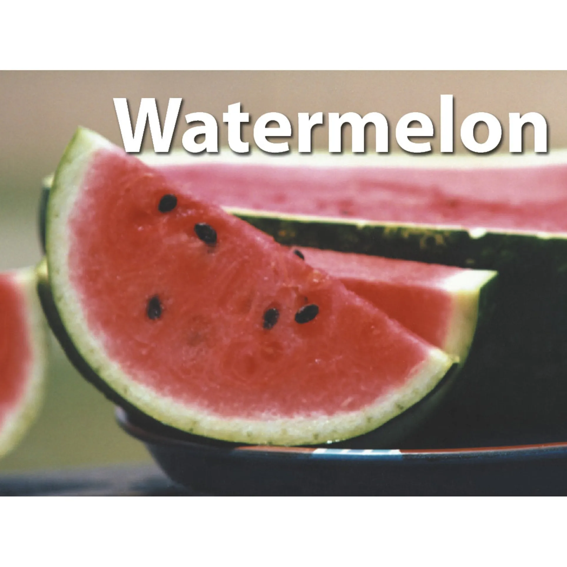 Stages Learning Materials - Photographic Memory Matching Game - Fruit & Vegetables - Pack of 3