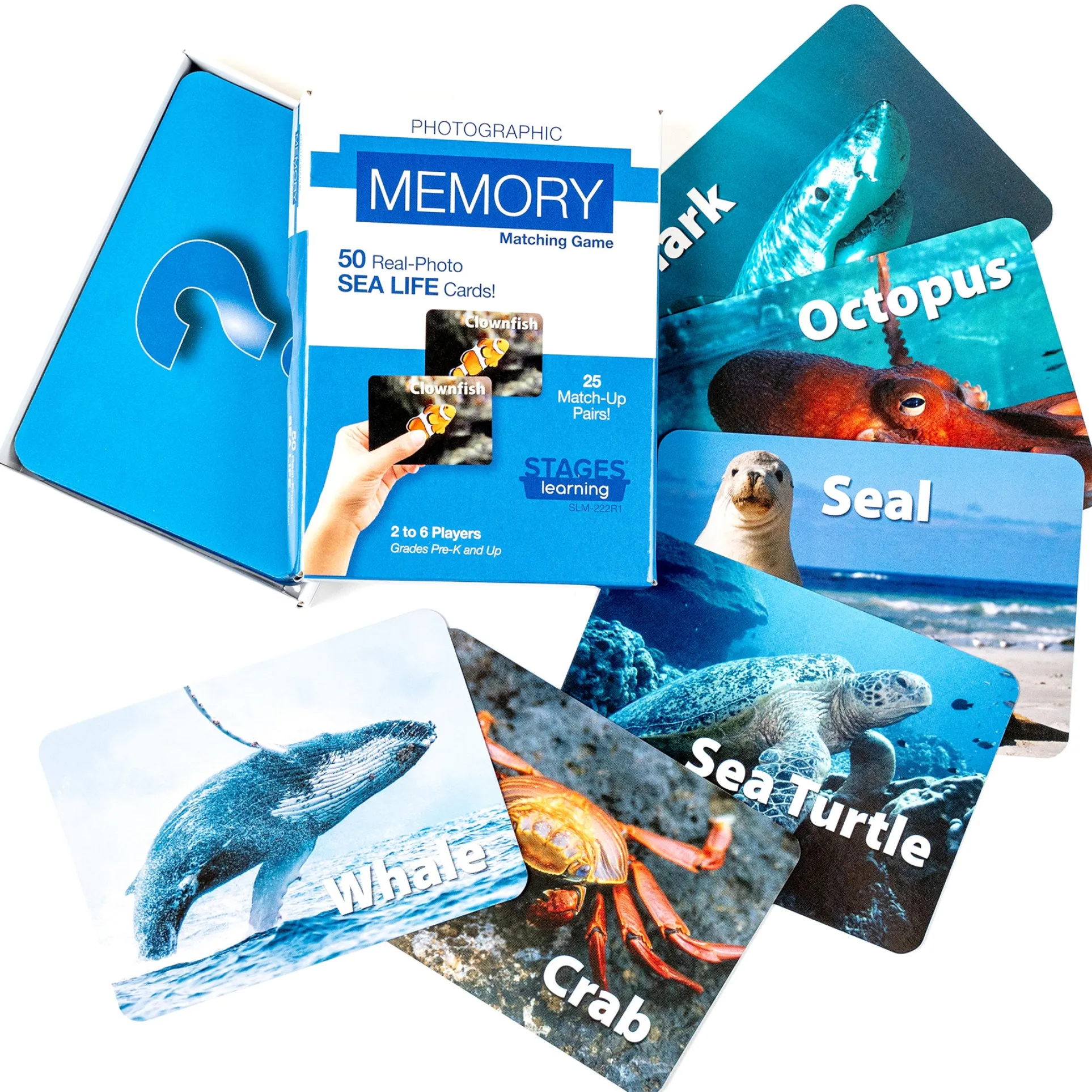 Stages Learning Sea Life Memory Matching Game - Photographic Card Set, Pack of 3