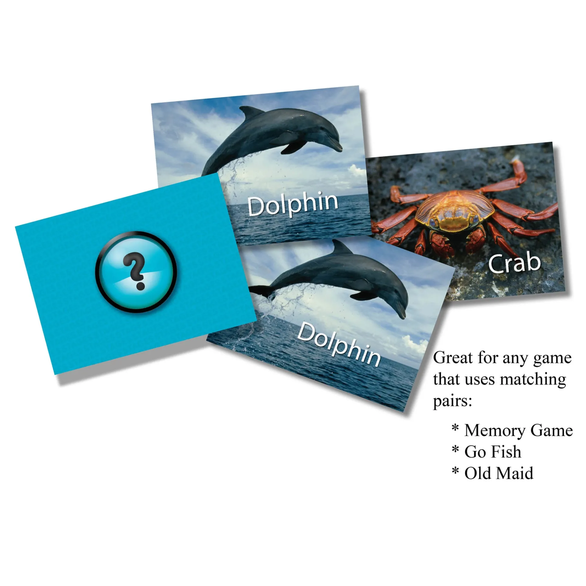 Stages Learning Sea Life Memory Matching Game - Photographic Card Set, Pack of 3