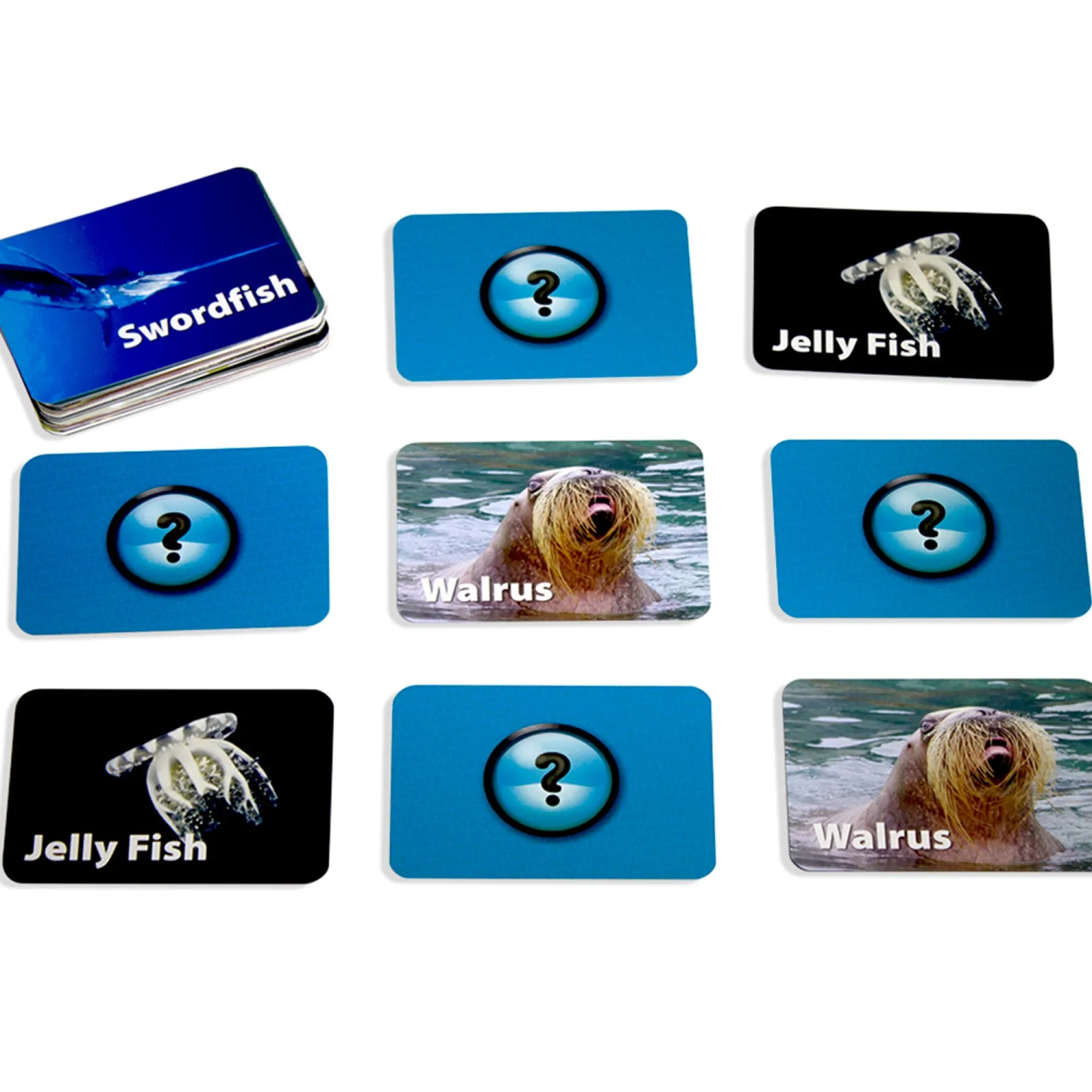 Stages Learning Sea Life Memory Matching Game - Photographic Card Set, Pack of 3