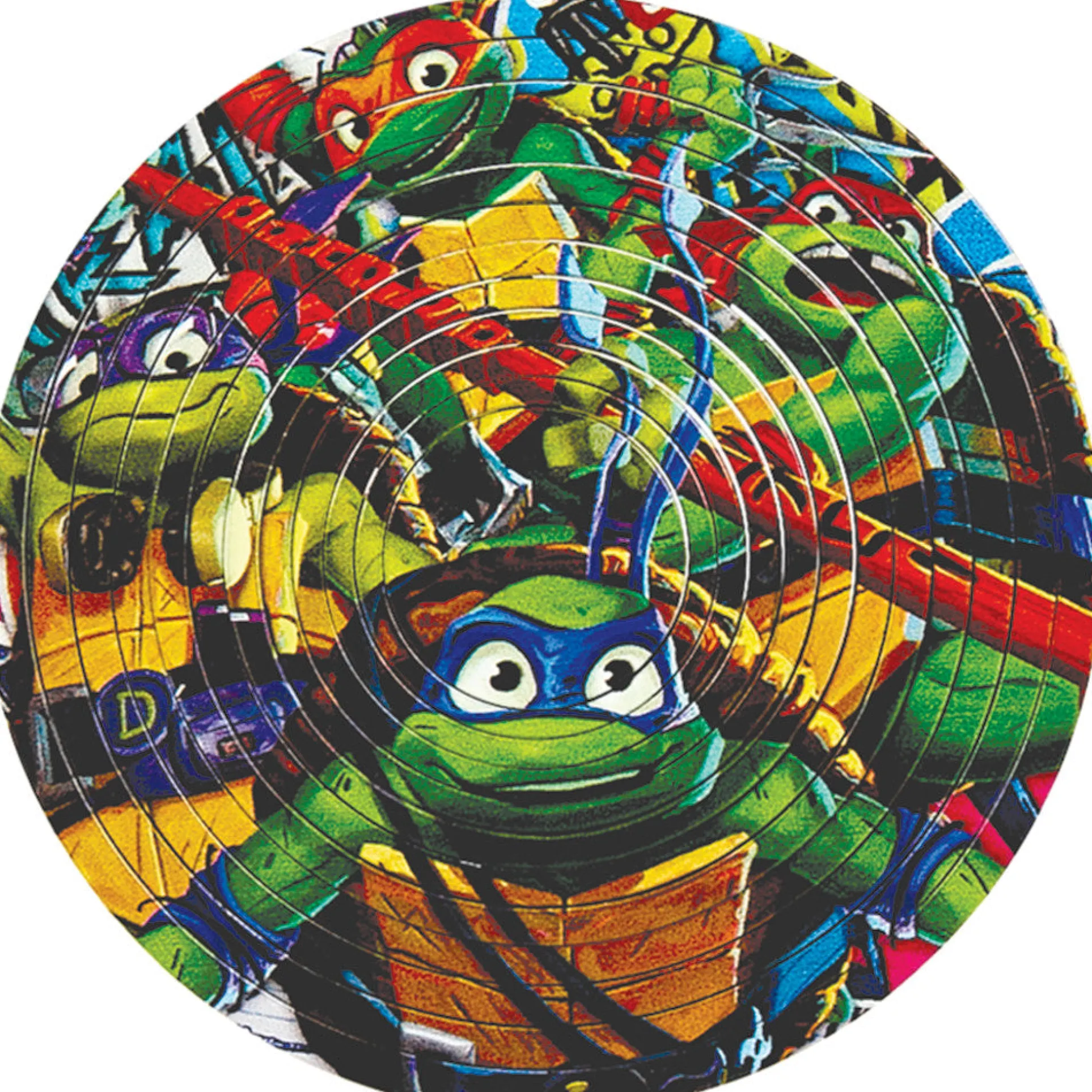 Teenage Mutant Ninja Turtles Spin Flip Puzzle - 12 Rings - Double-Sided