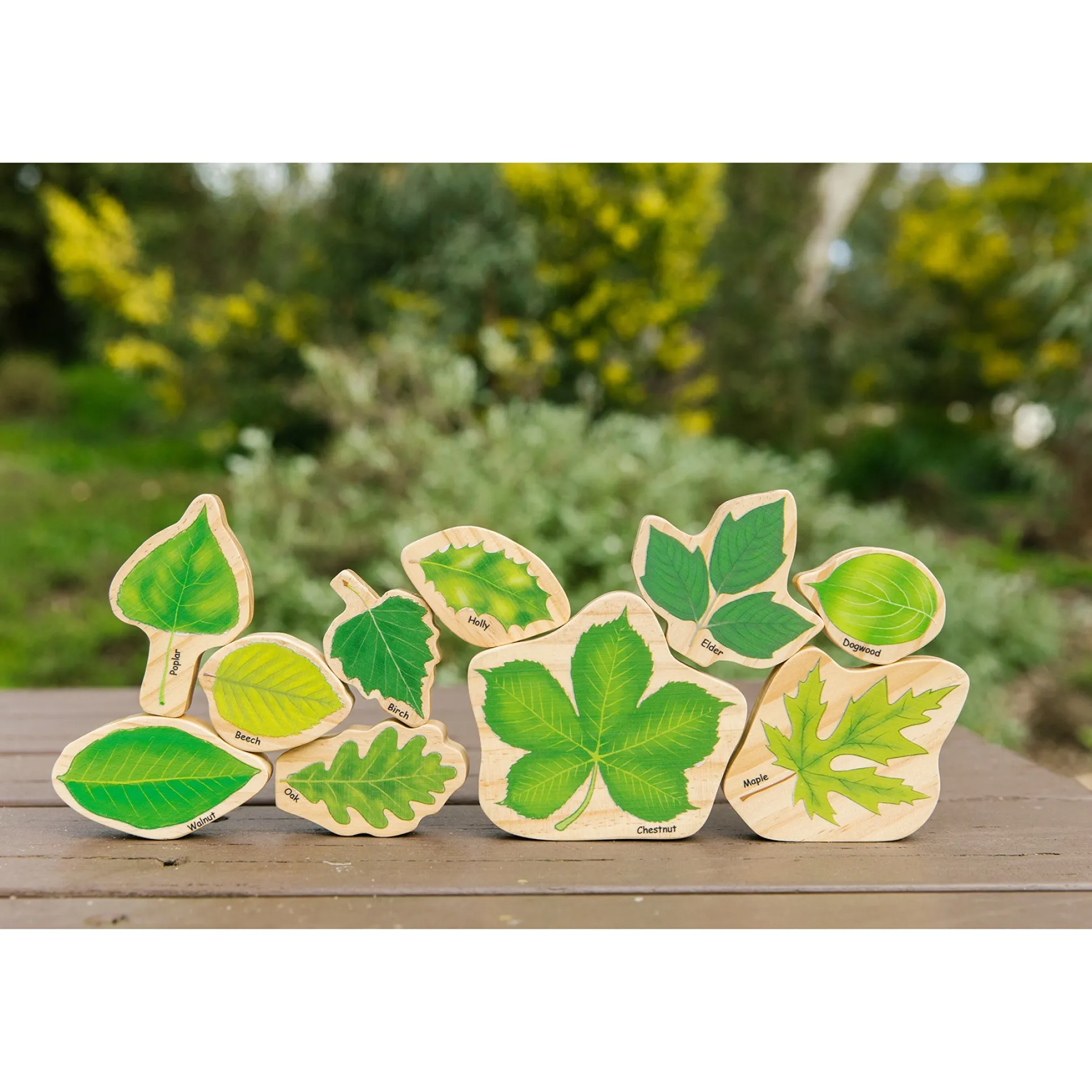 The Freckled Frog Stacking Leaves - Educational Wooden Block Set