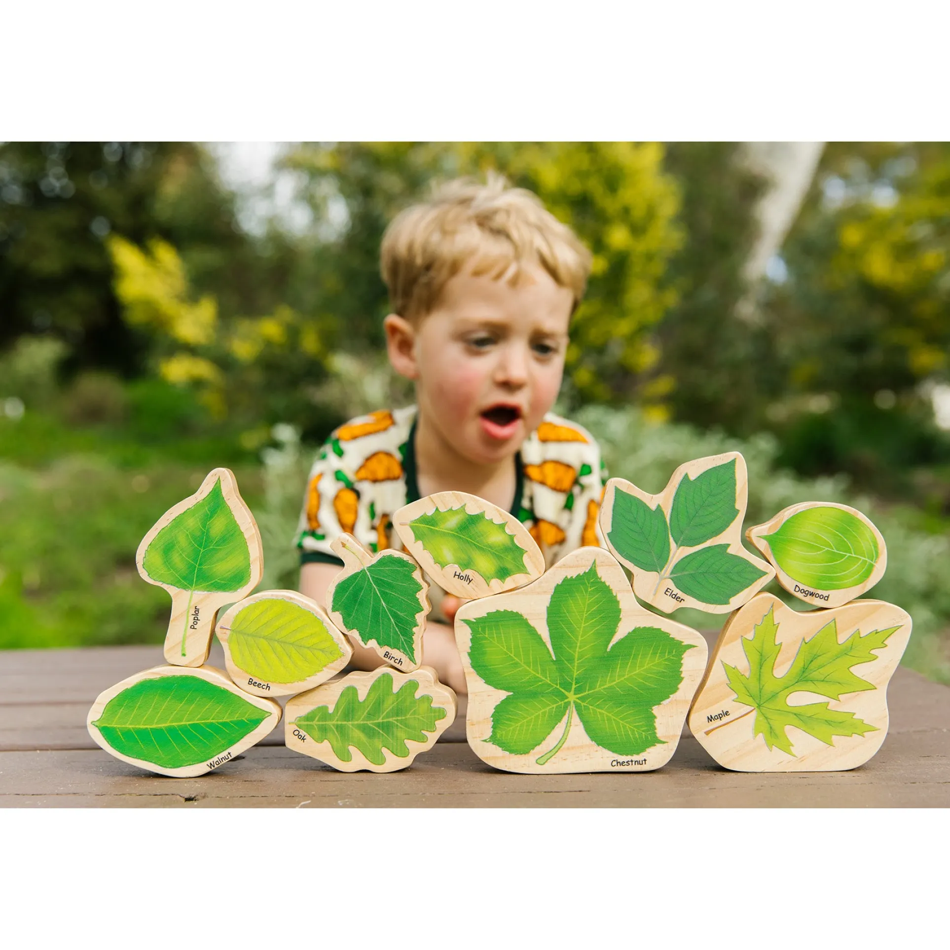 The Freckled Frog Stacking Leaves - Educational Wooden Block Set