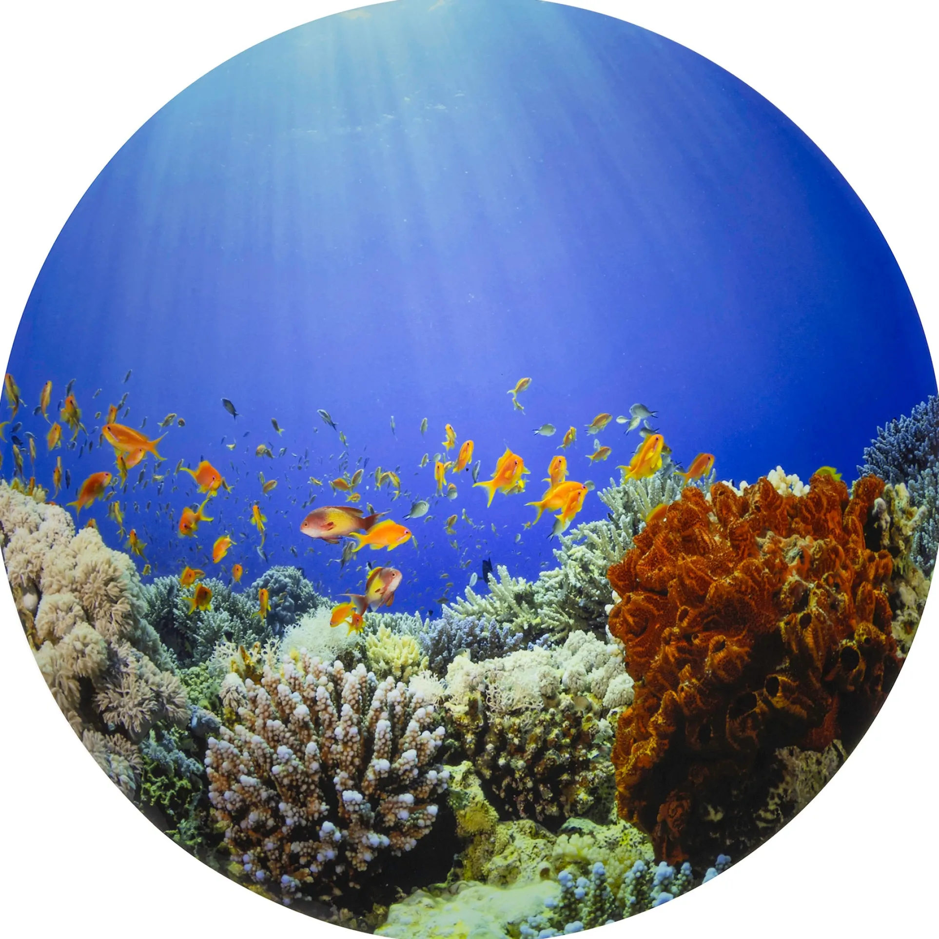 TickiT Under the Sea Discovery Play Mat - Ocean Exploration