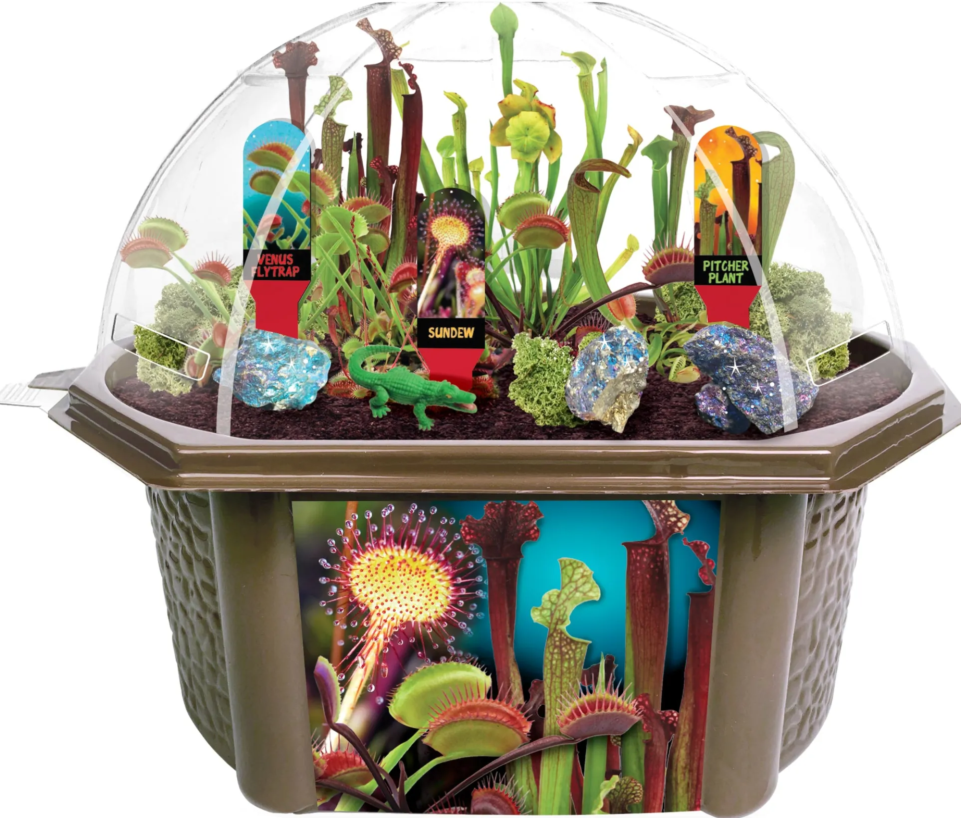 Toys By Nature Carnivorous Creatures Biosphere Terrarium Kit