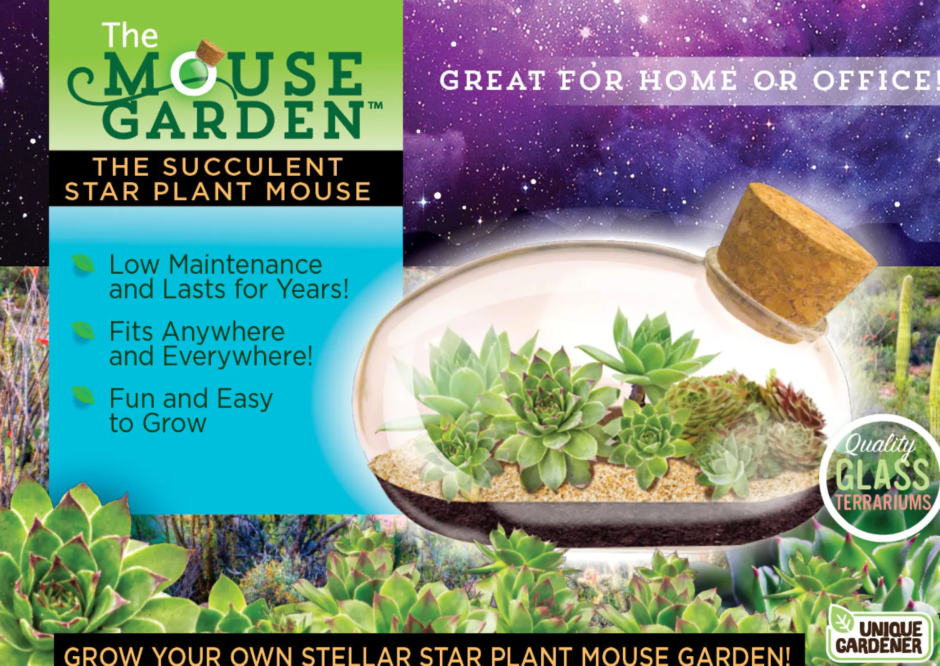 Toys R Us The Succulent Star Mouse Miniature Garden Kit