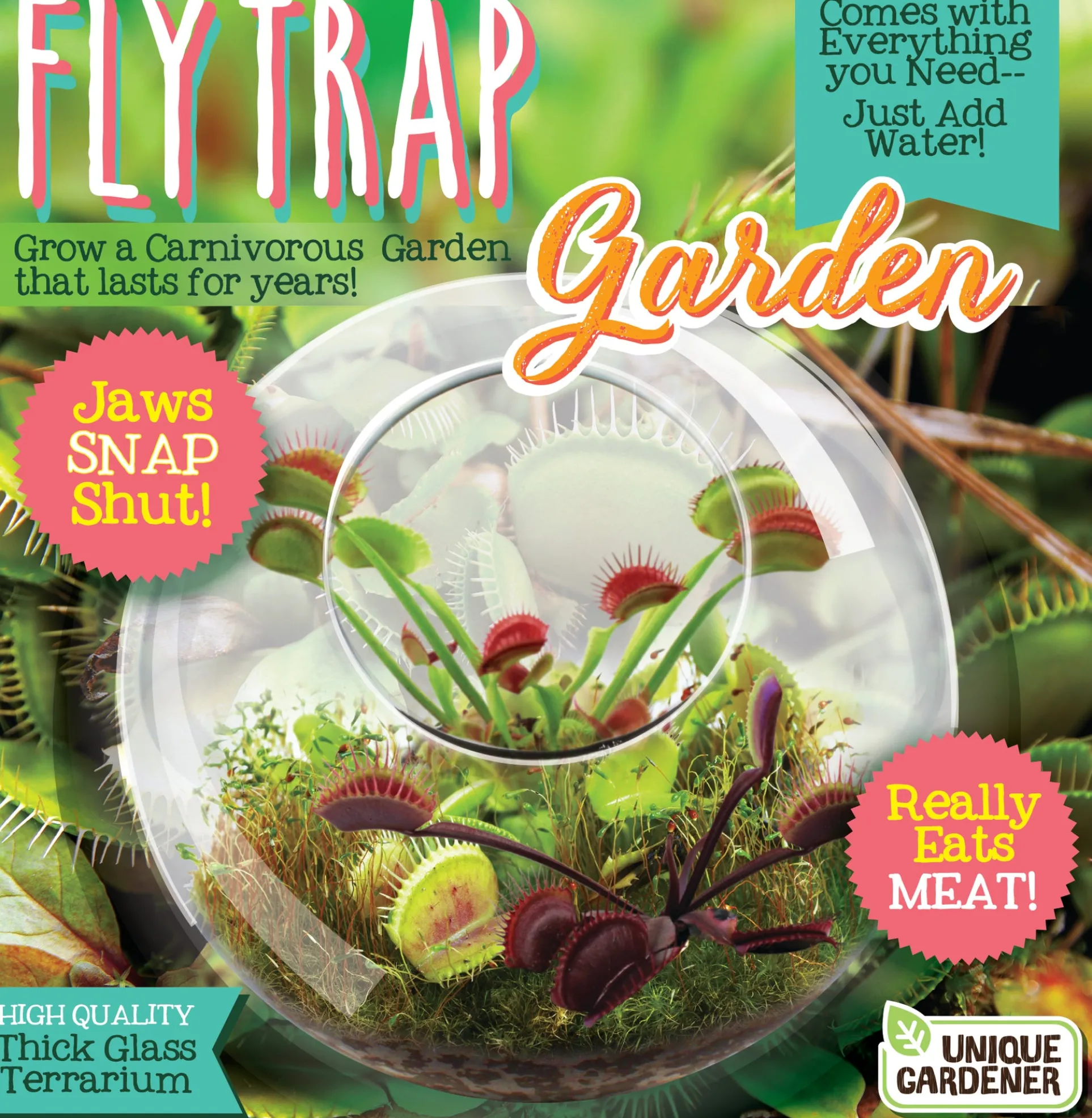 Unique Gardener Carnivorous Fly Trap Glass Terrarium Kit