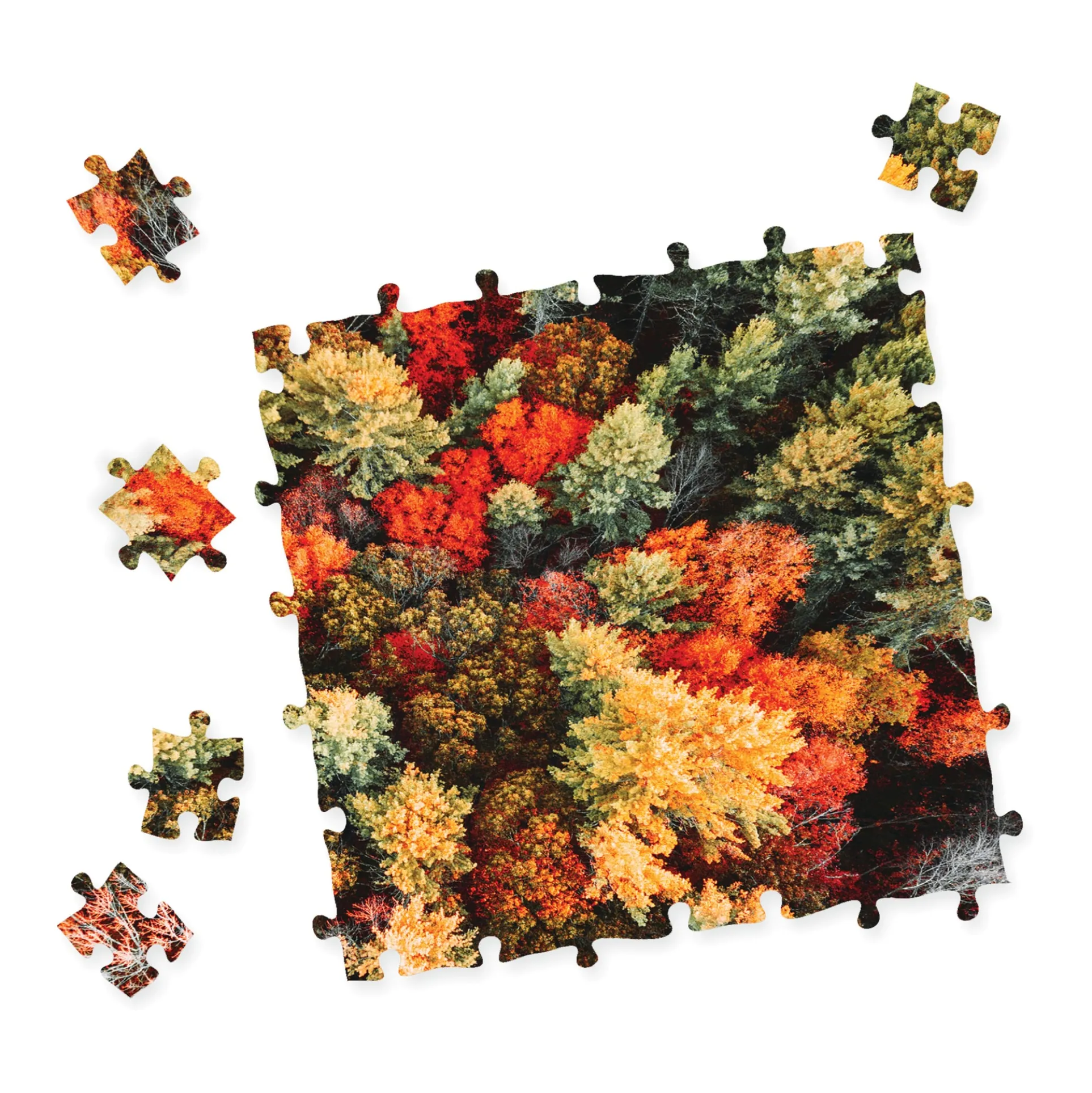University Games Impossibles Puzzle - Falling for Fall: 1000 Pcs