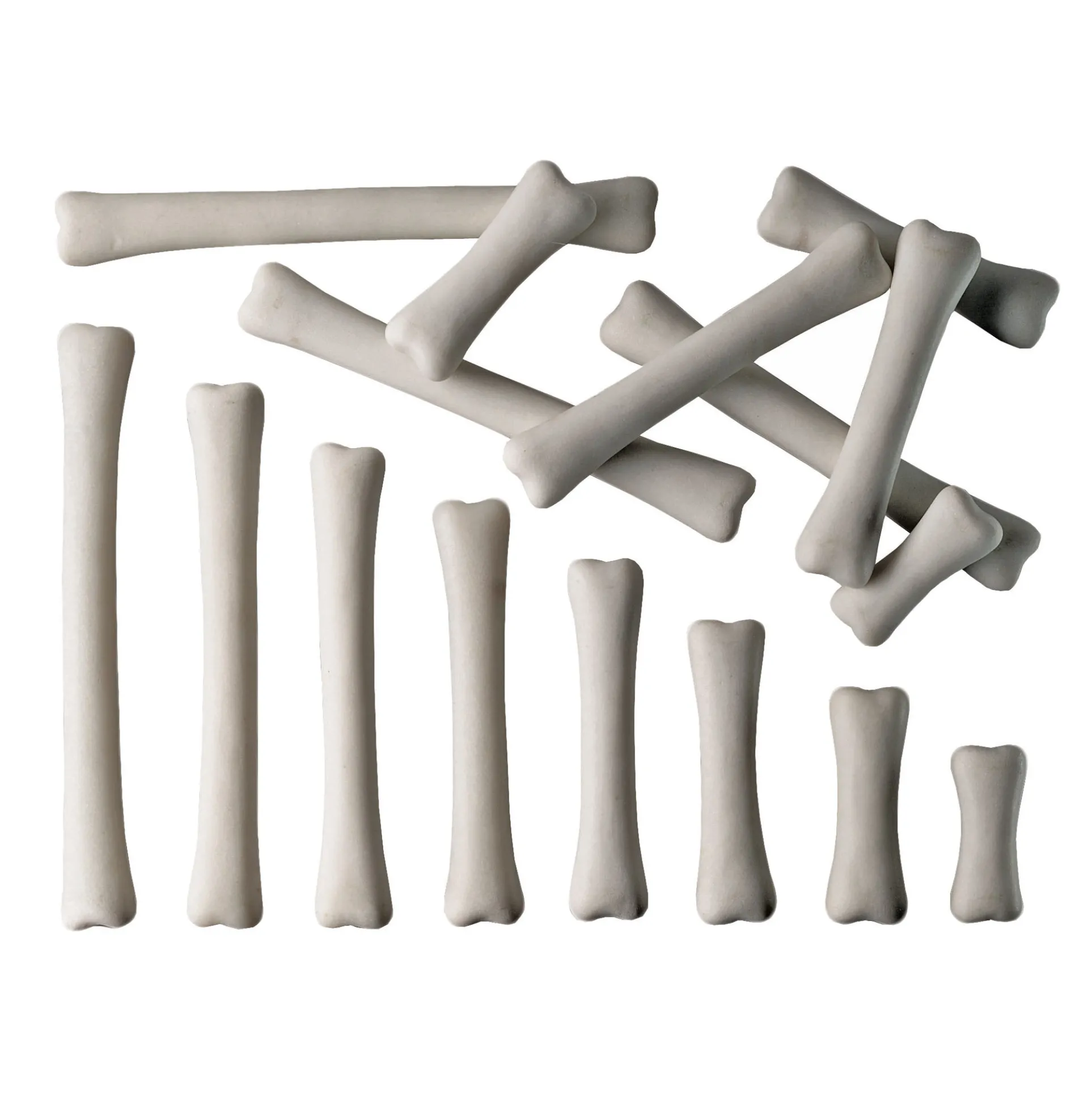 Yellow Door Dinosaur Bones Match & Measure Adventure Set