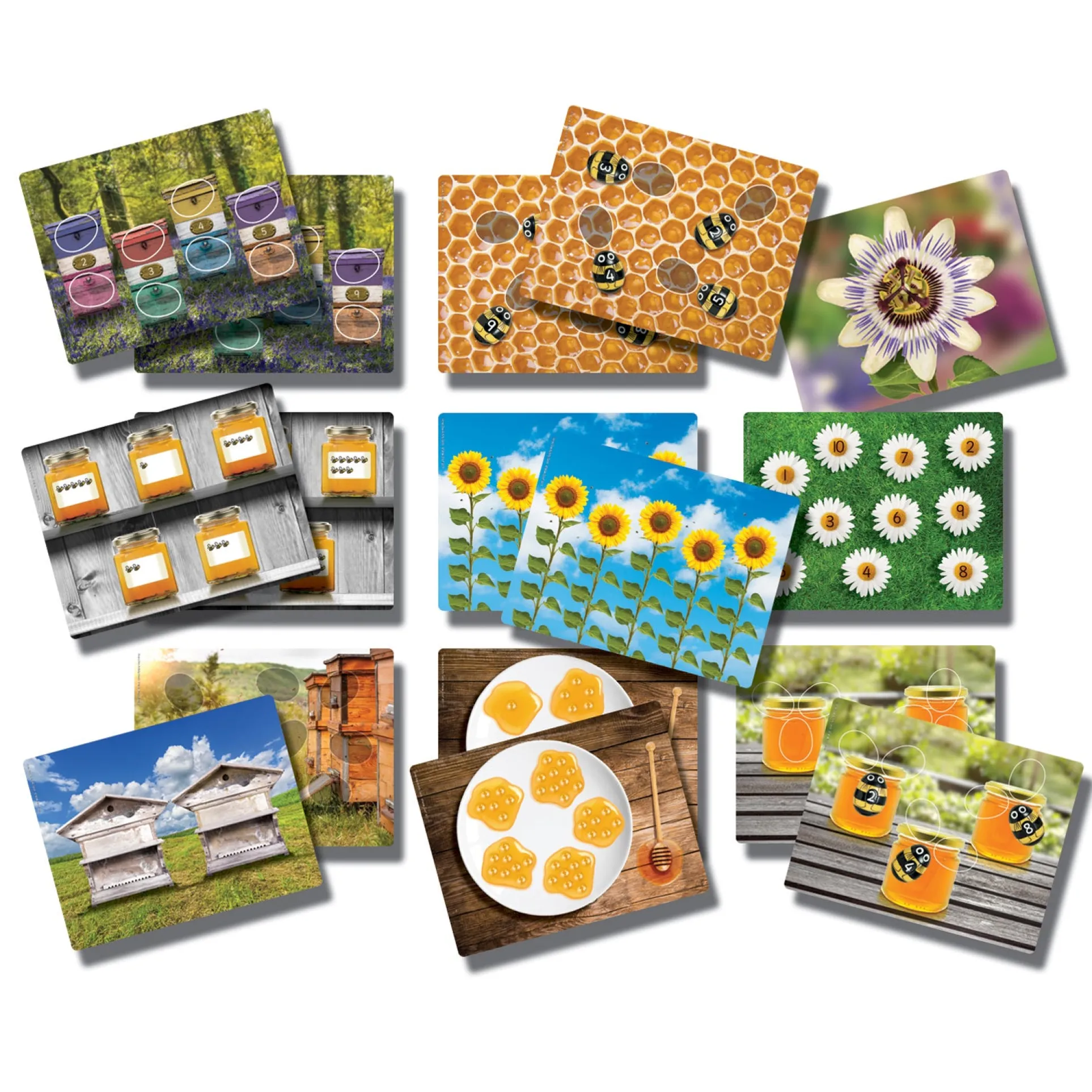 Yellow Door Honey Bee Early Number Cards - Colorful Learning Set of 16