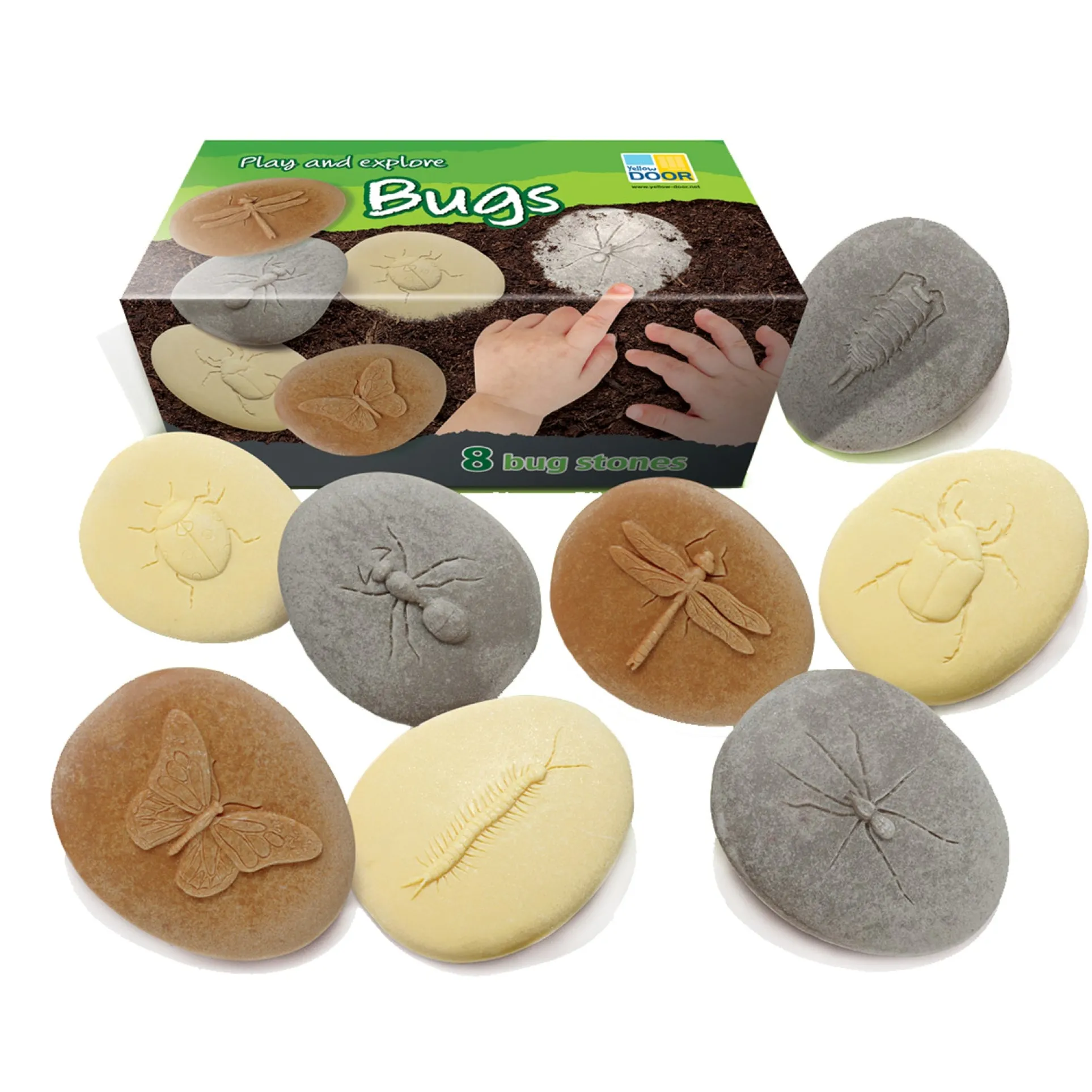 Yellow Door Let's Investigate Bugs Stone - Outdoor Learning - Pack of 8