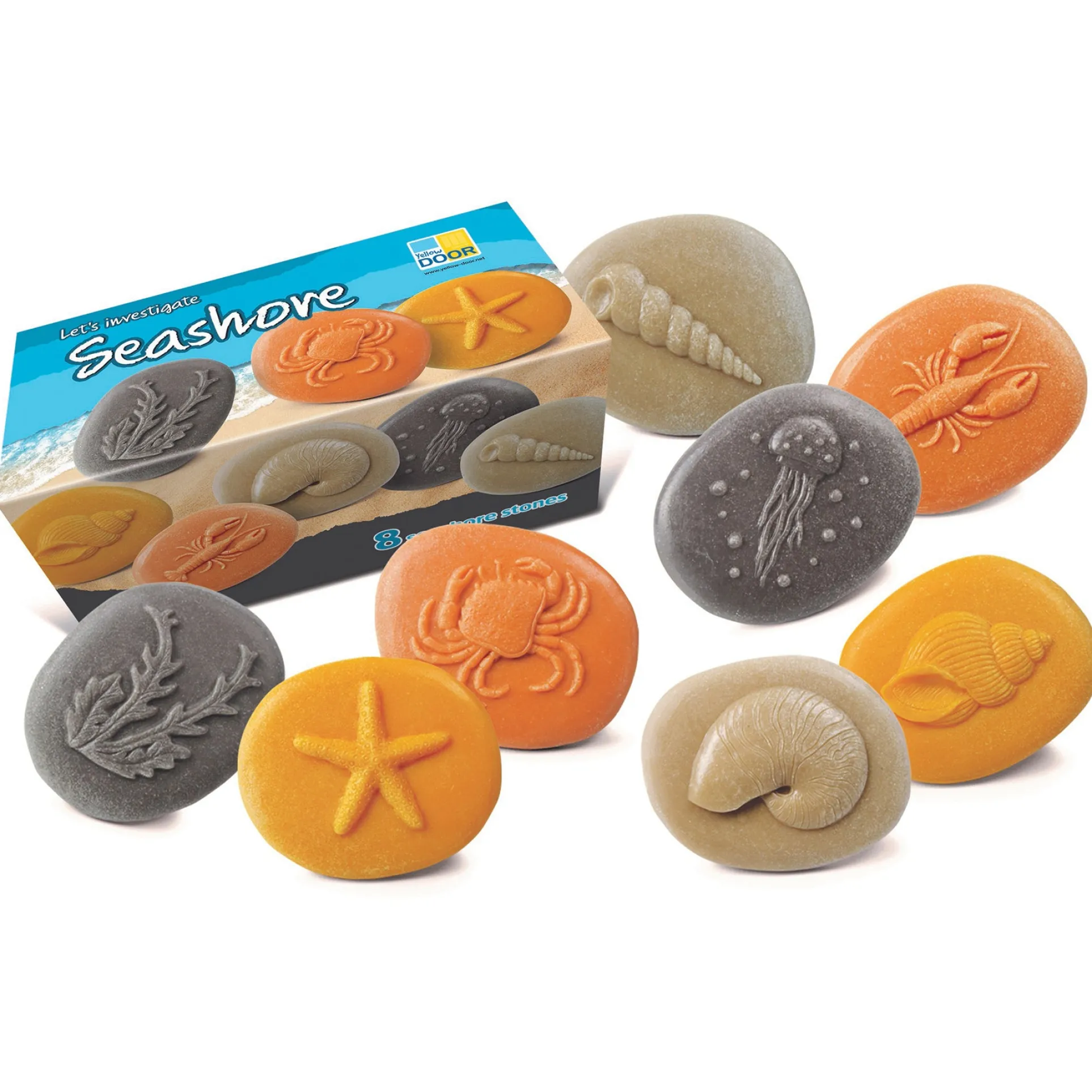 Yellow Door Let's Investigate - Seashore Exploration - Set of 8 Stone Figures