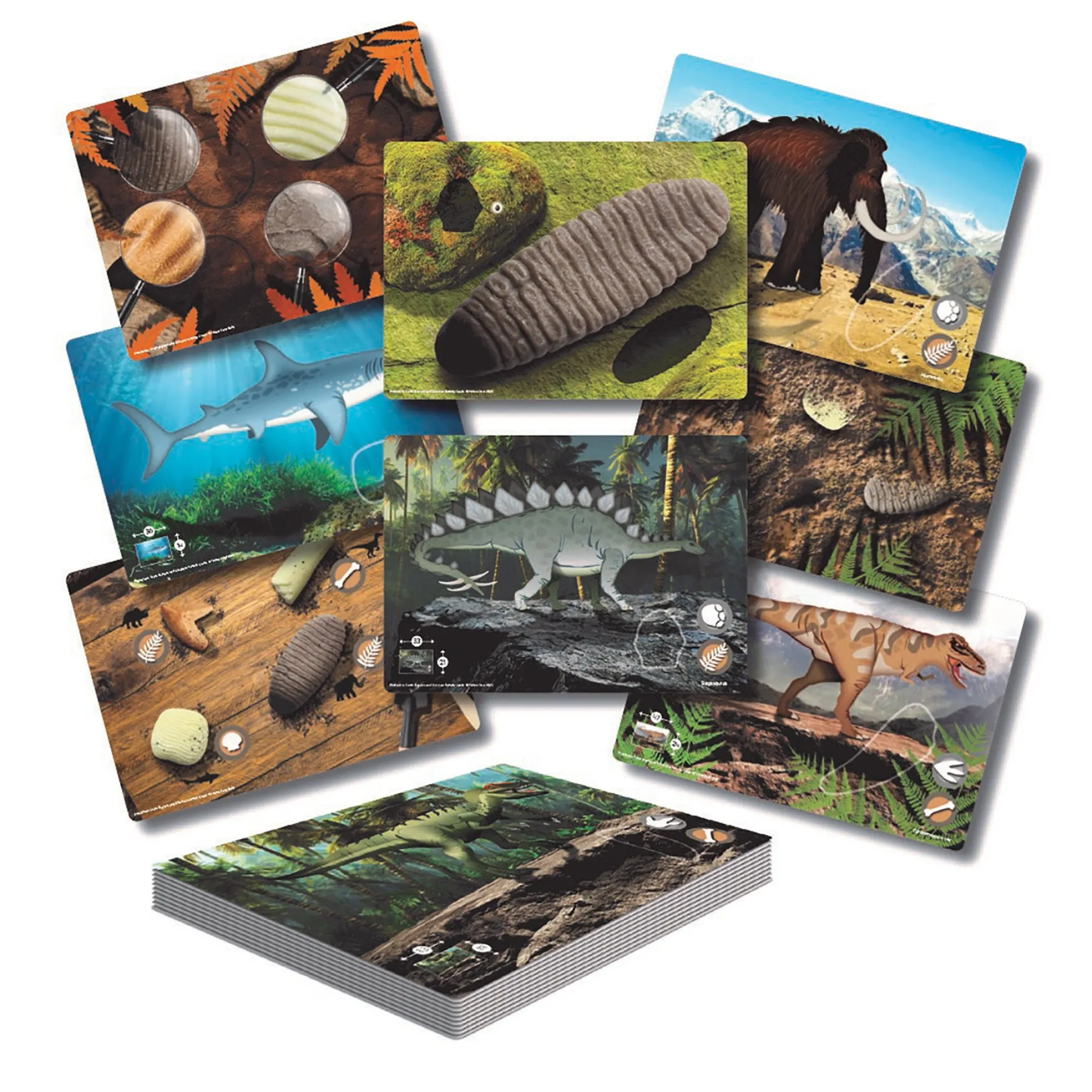 Yellow Door Prehistoric Teeth Activity Cards - Discover Dinosaur Secrets - Set of 16